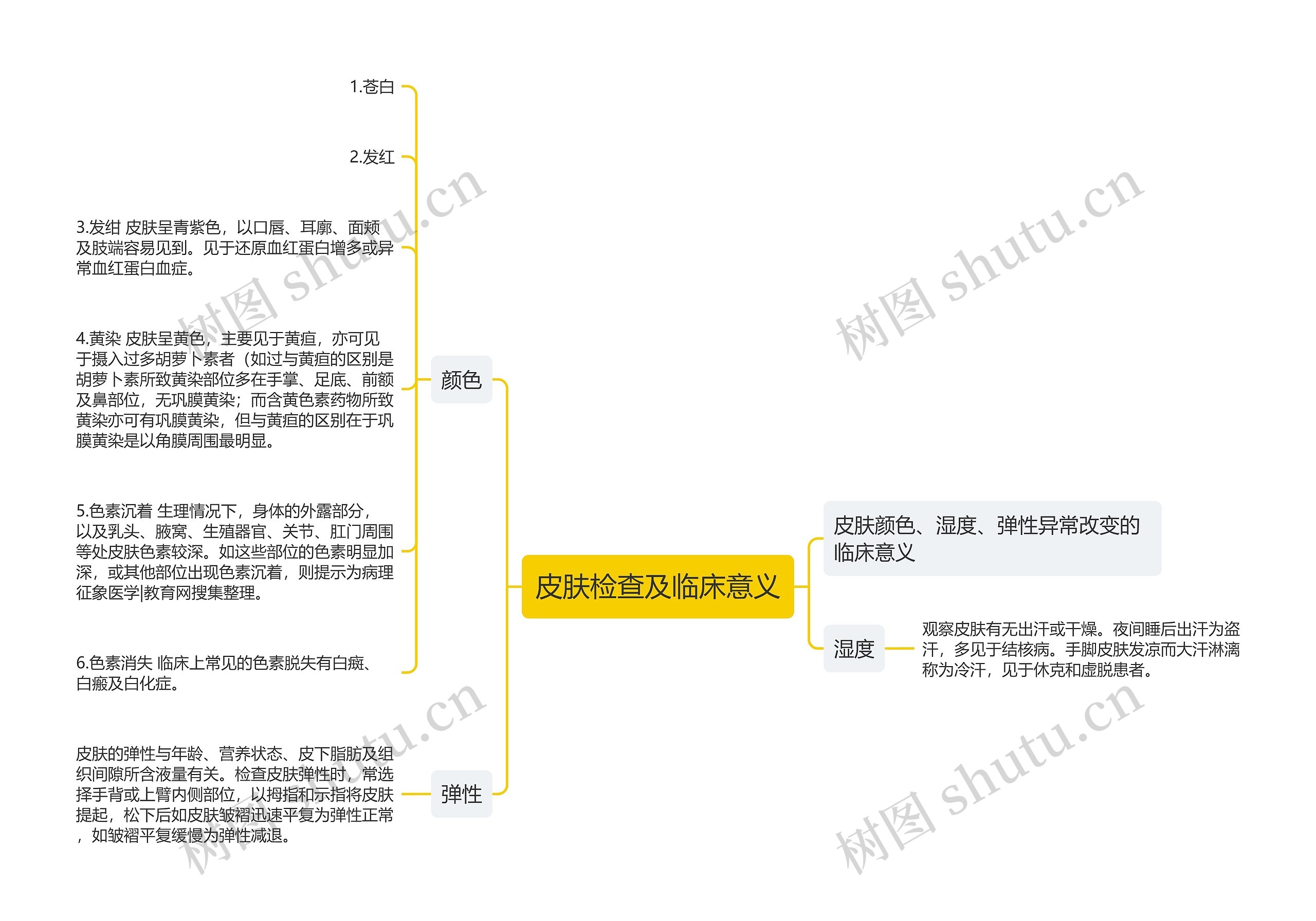 皮肤检查及临床意义思维导图