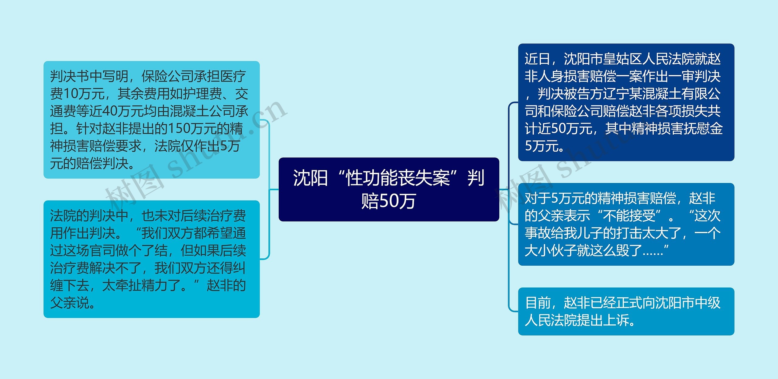 沈阳“性功能丧失案”判赔50万思维导图