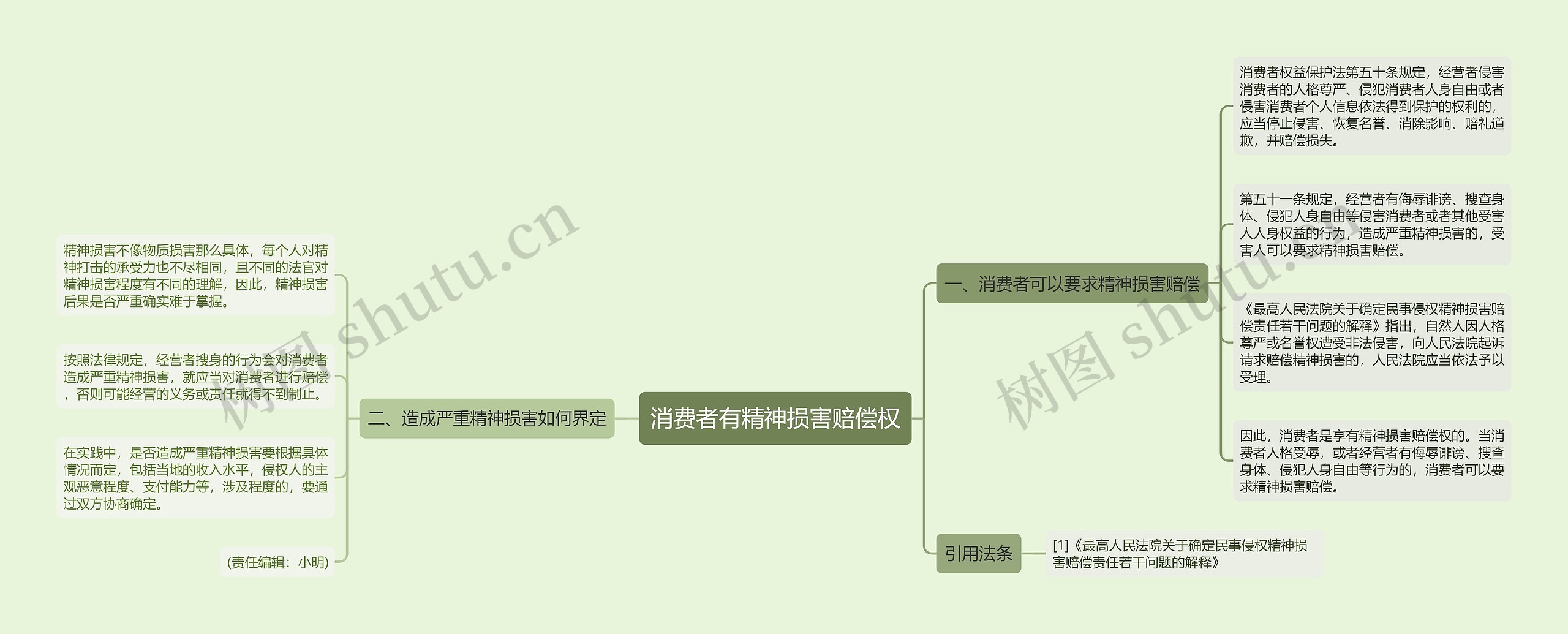 消费者有精神损害赔偿权思维导图