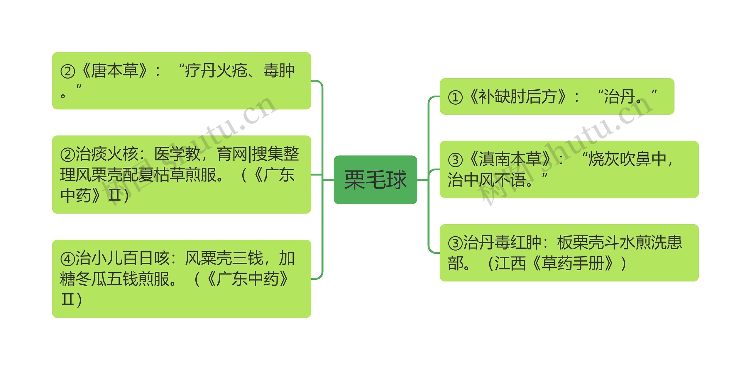 栗毛球思维导图