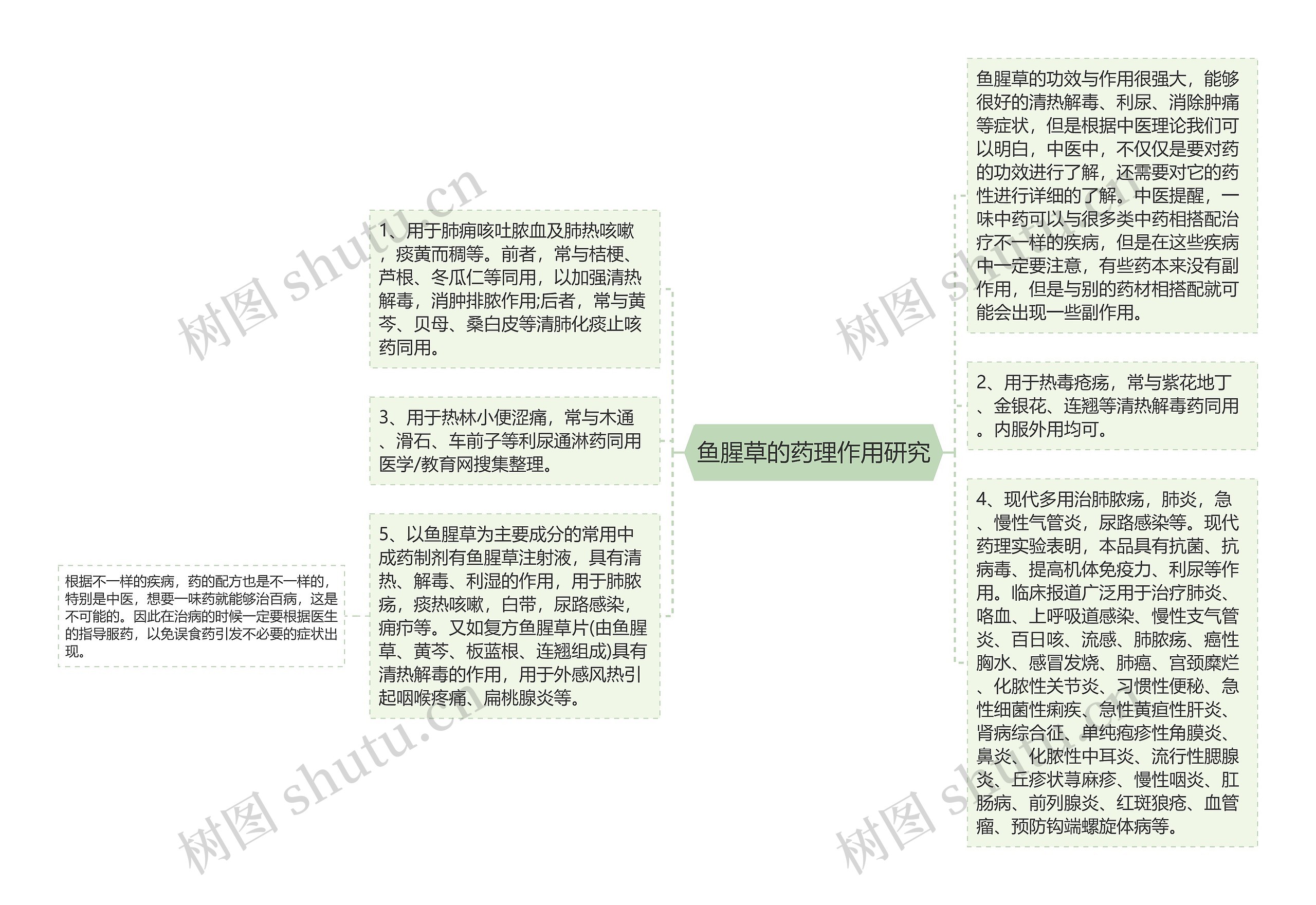 鱼腥草的药理作用研究