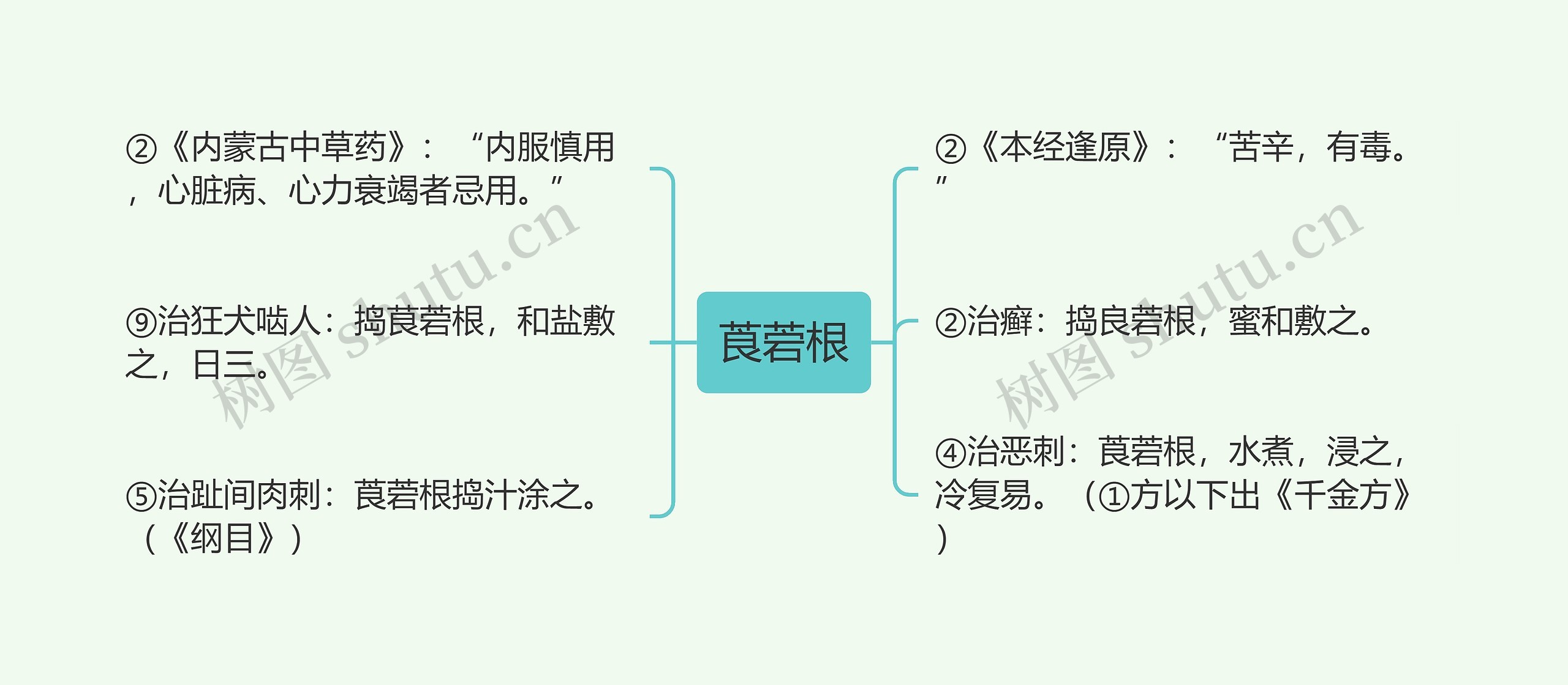 莨菪根