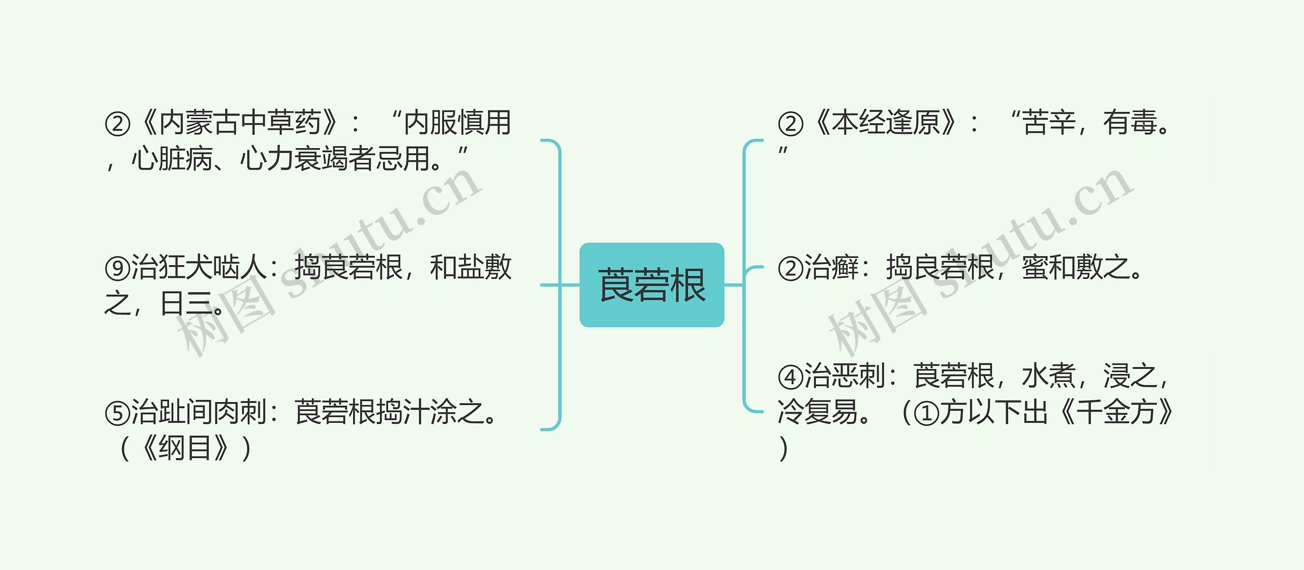 莨菪根思维导图