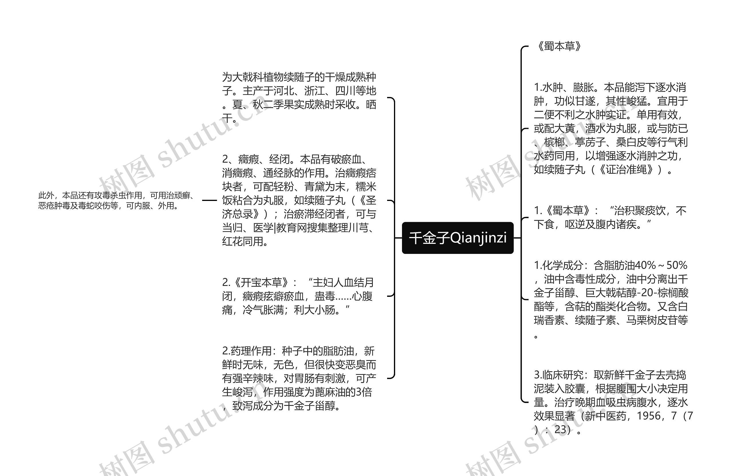 千金子Qianjinzi思维导图