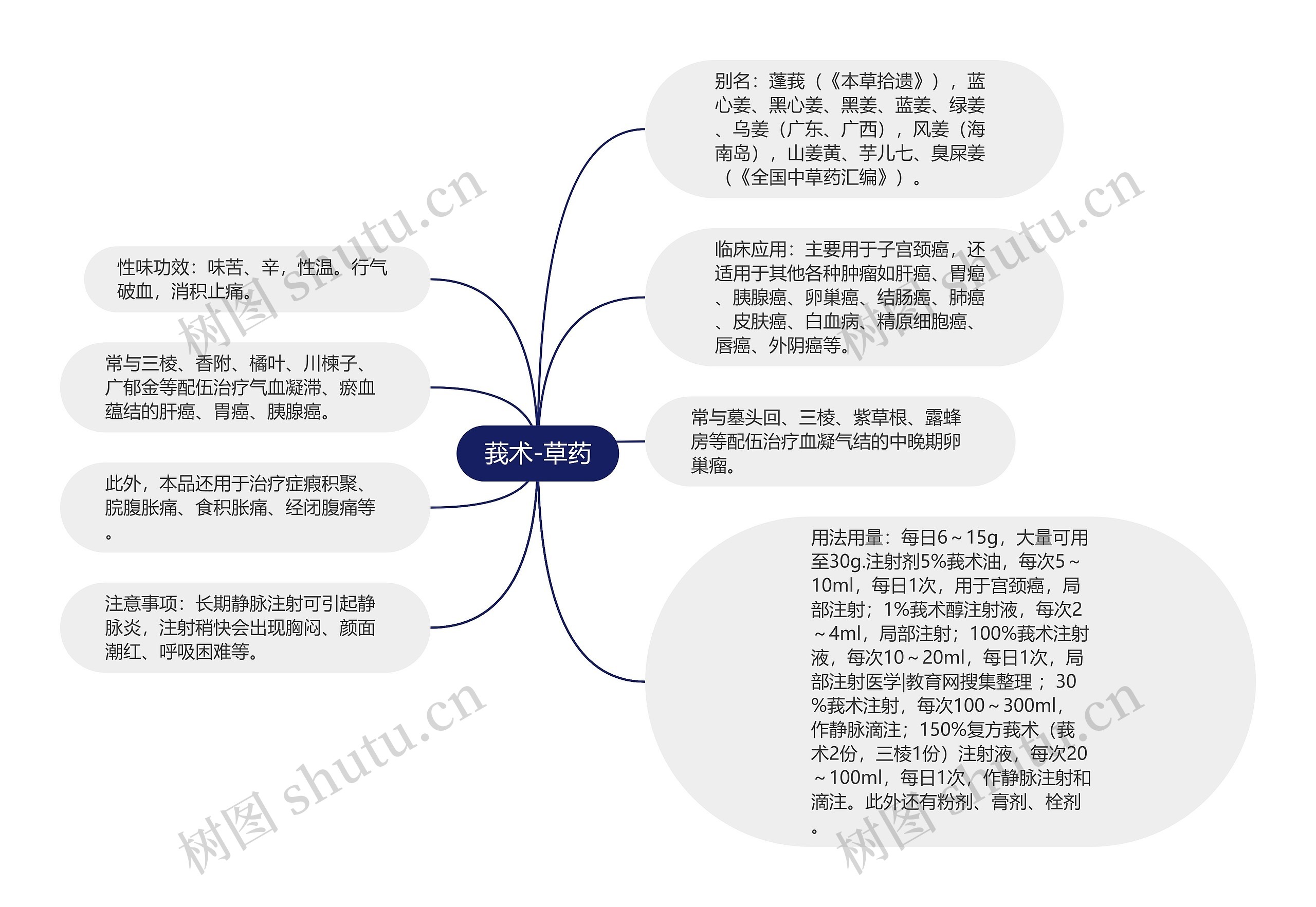 莪术-草药思维导图