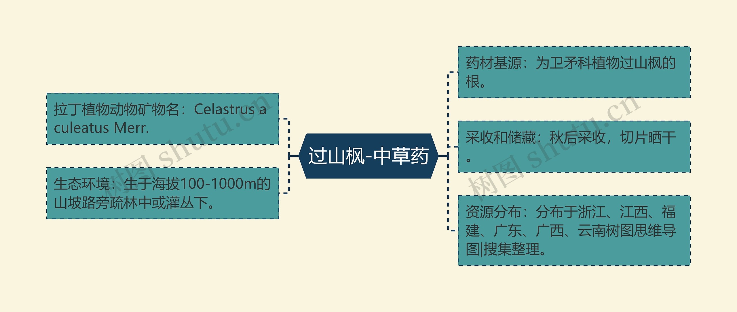 过山枫-中草药思维导图