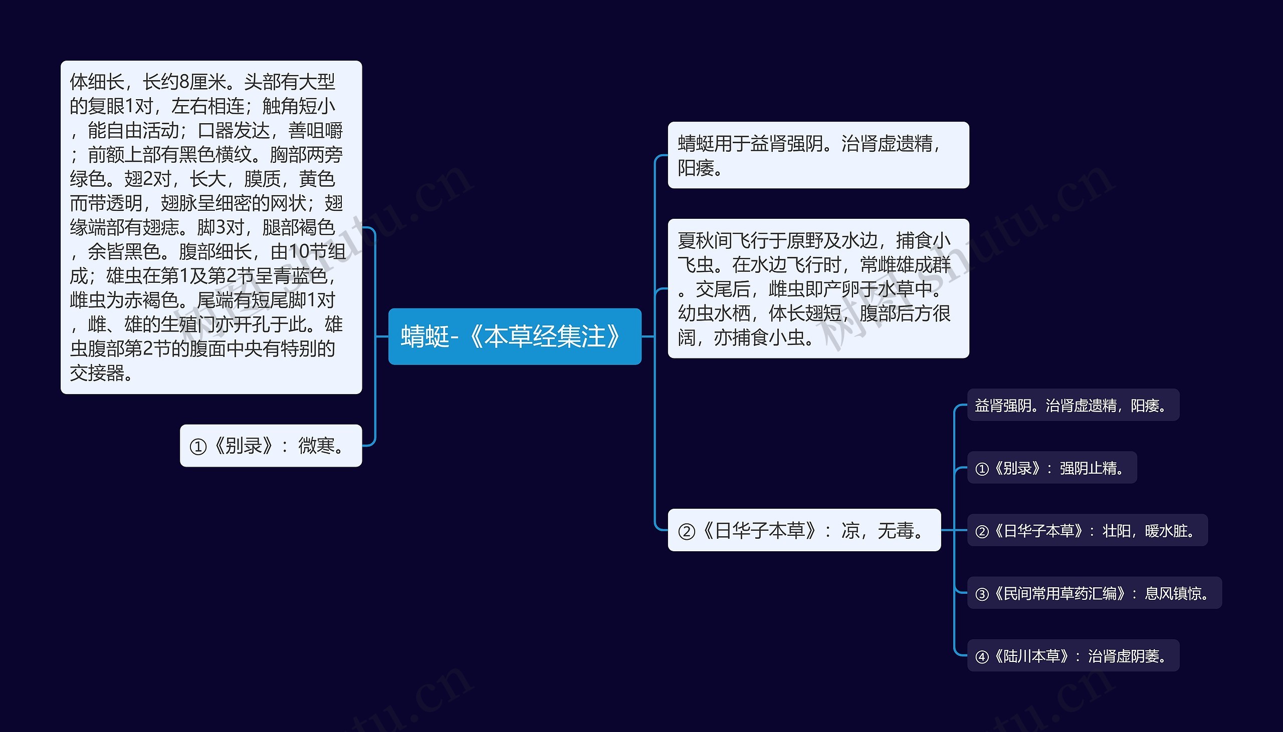 蜻蜓-《本草经集注》思维导图