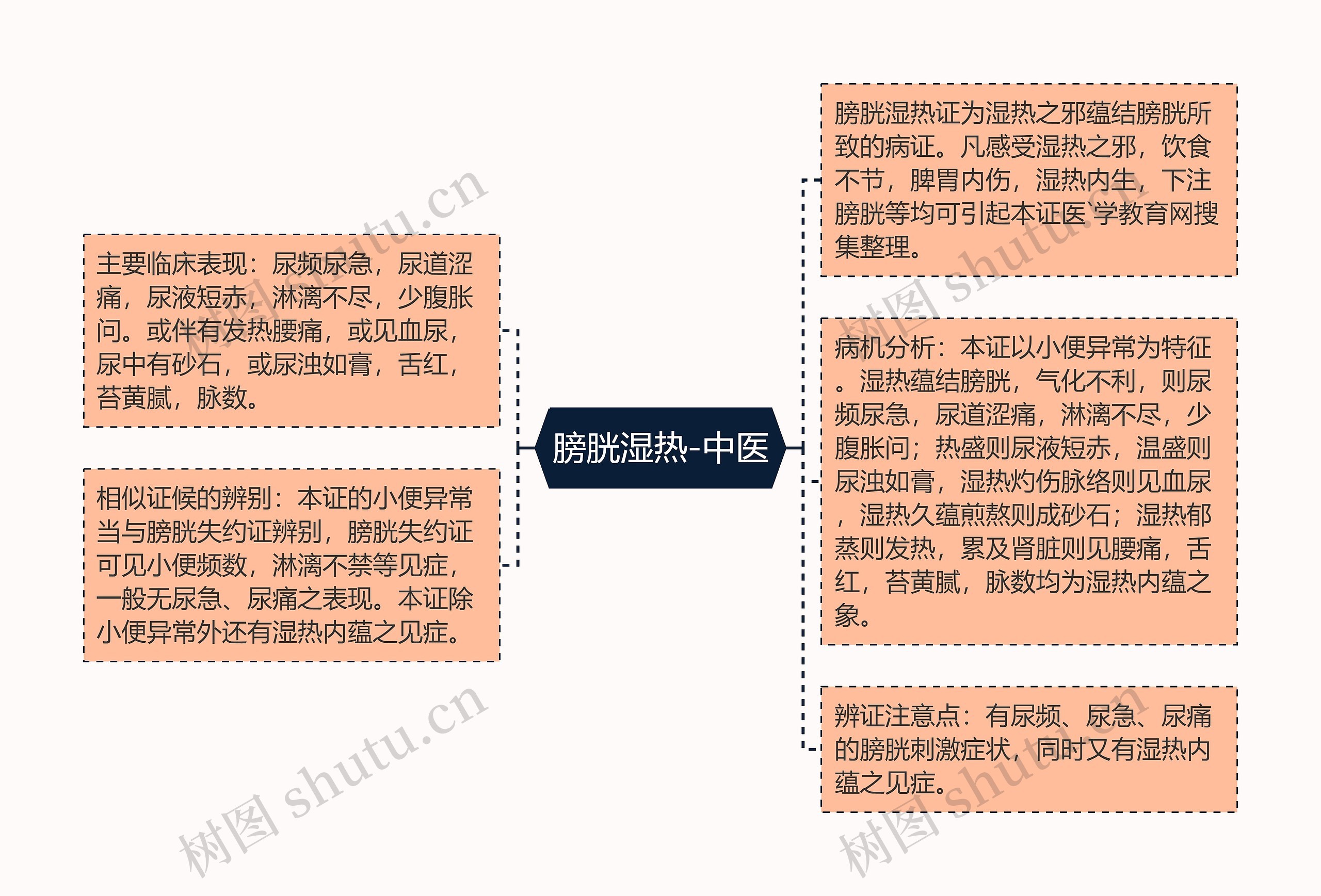 膀胱湿热-中医思维导图
