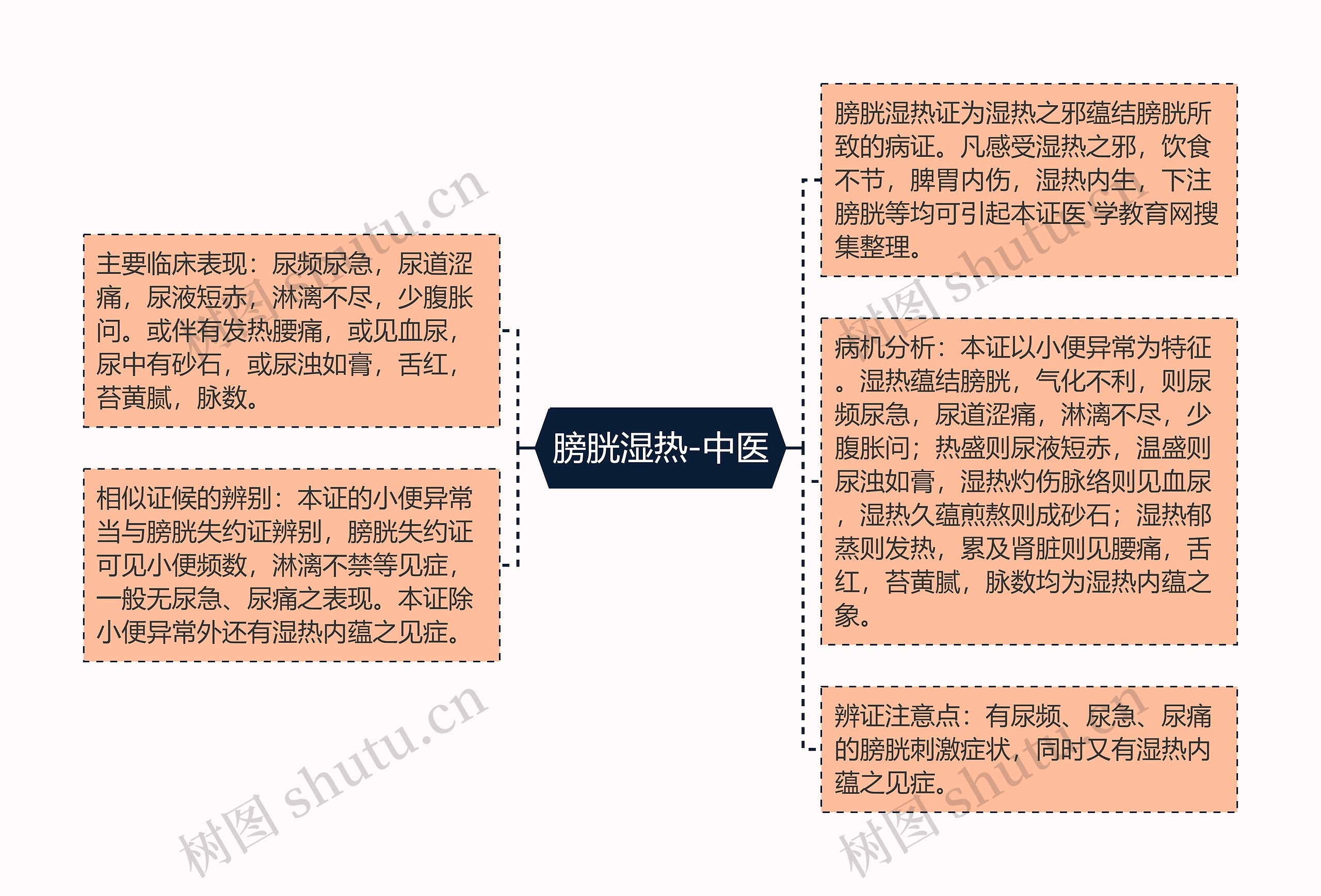 膀胱湿热-中医 膀胱湿热-中医