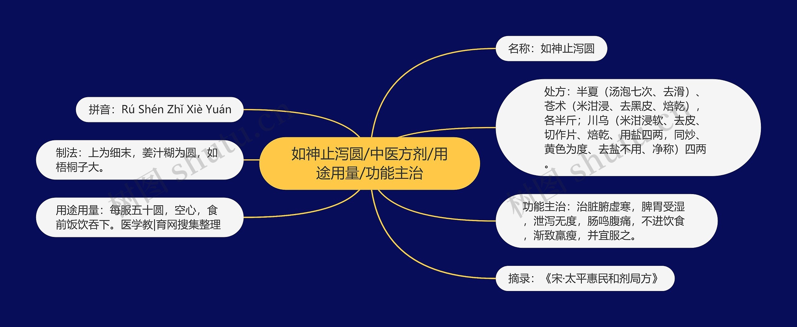 如神止泻圆/中医方剂/用途用量/功能主治思维导图