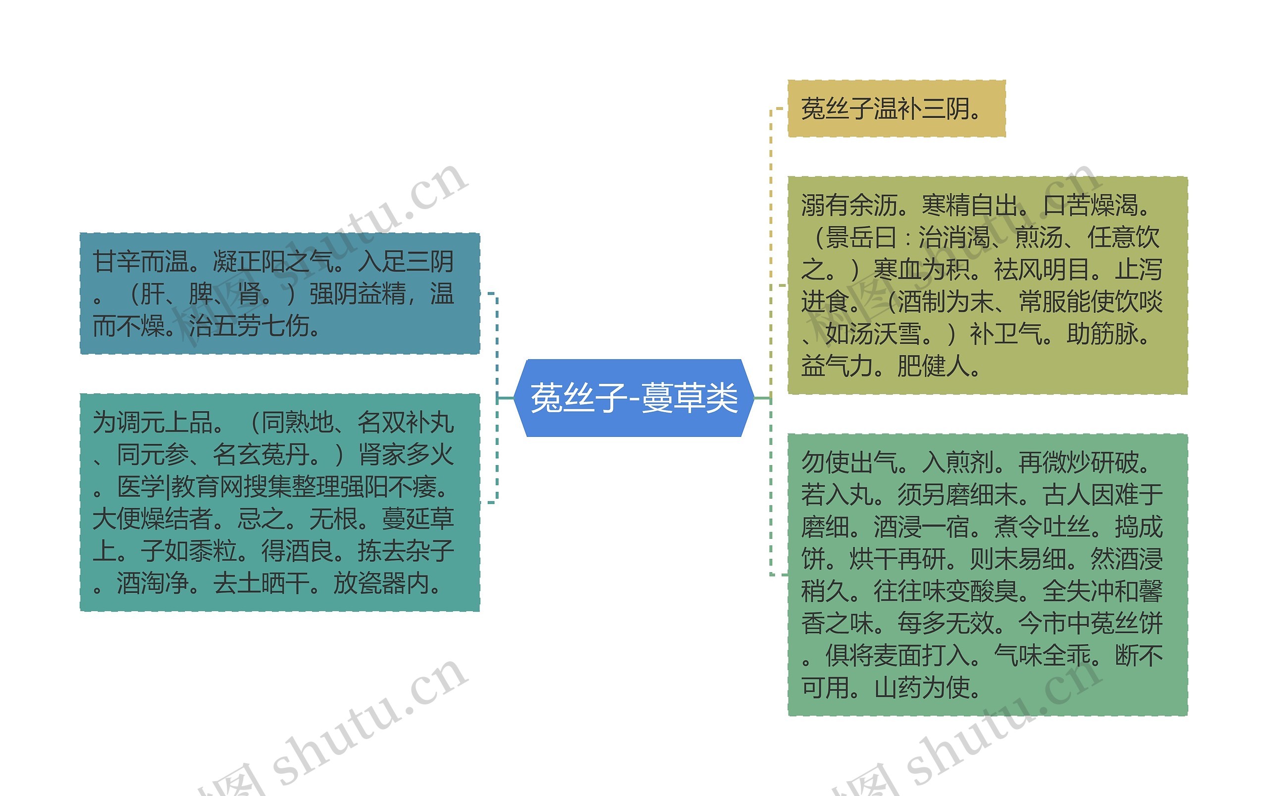 菟丝子-蔓草类 菟丝子-蔓草类