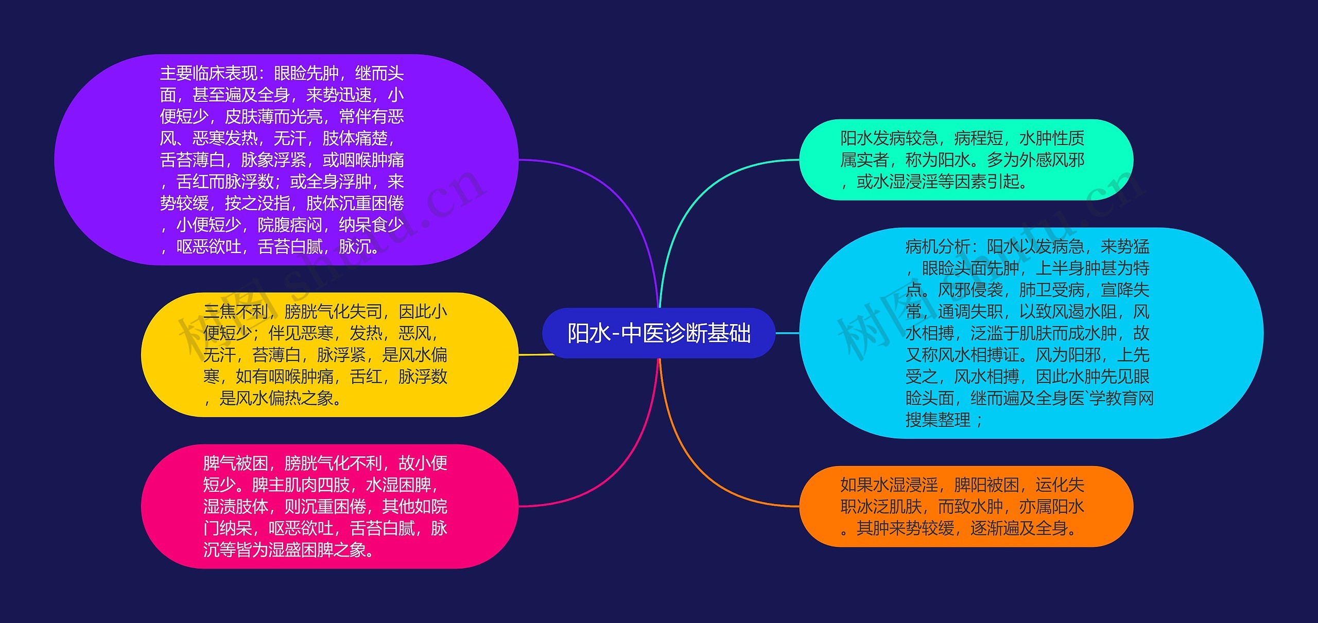 阳水-中医诊断基础思维导图