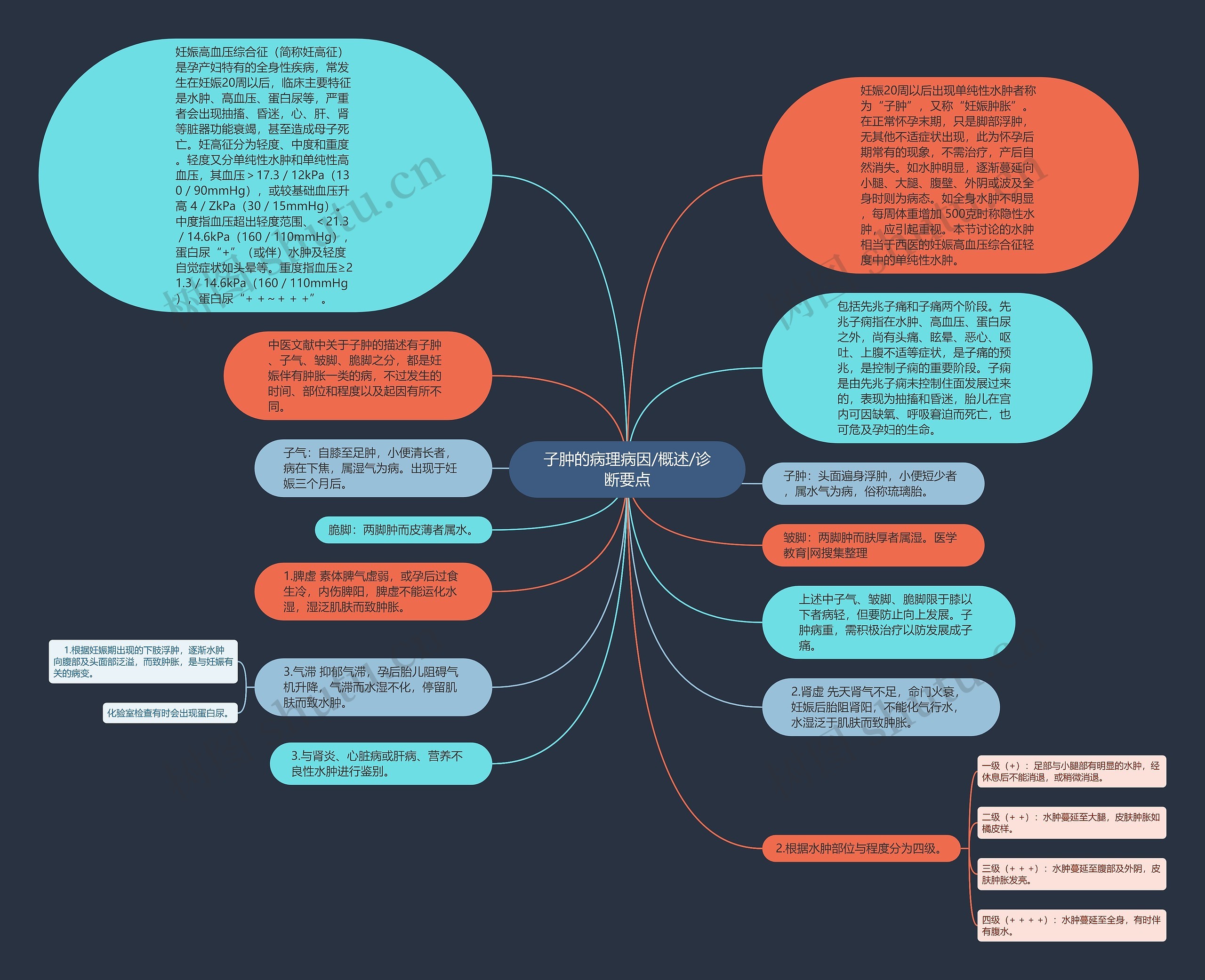 子肿的病理病因/概述/诊断要点思维导图