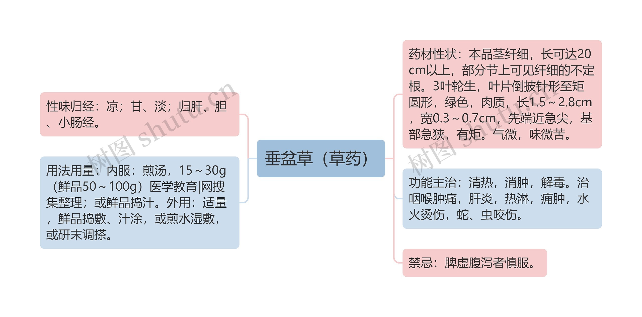 垂盆草（草药）思维导图