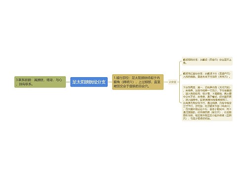 足太阳膀胱经分支