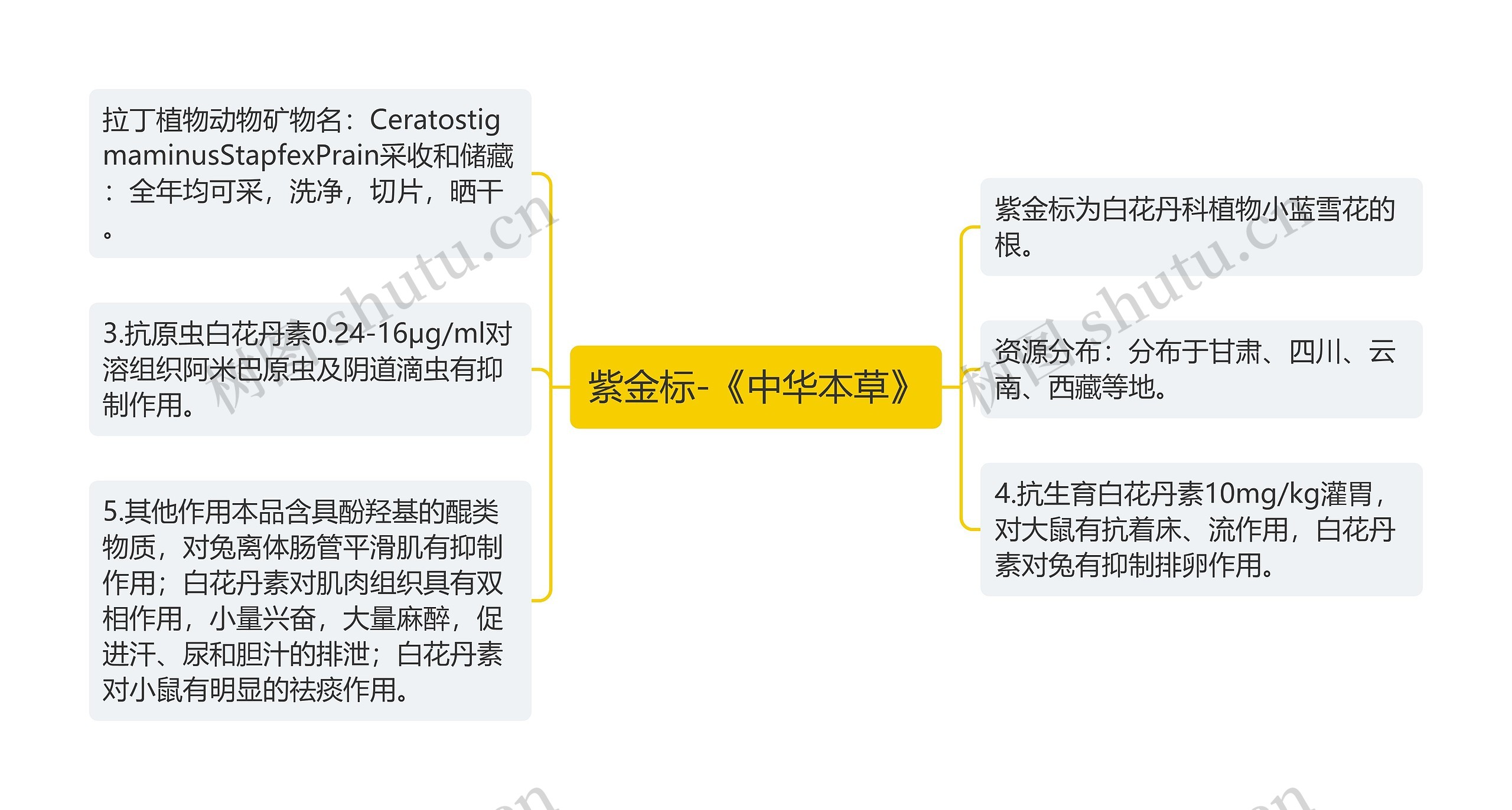 紫金标-《中华本草》思维导图