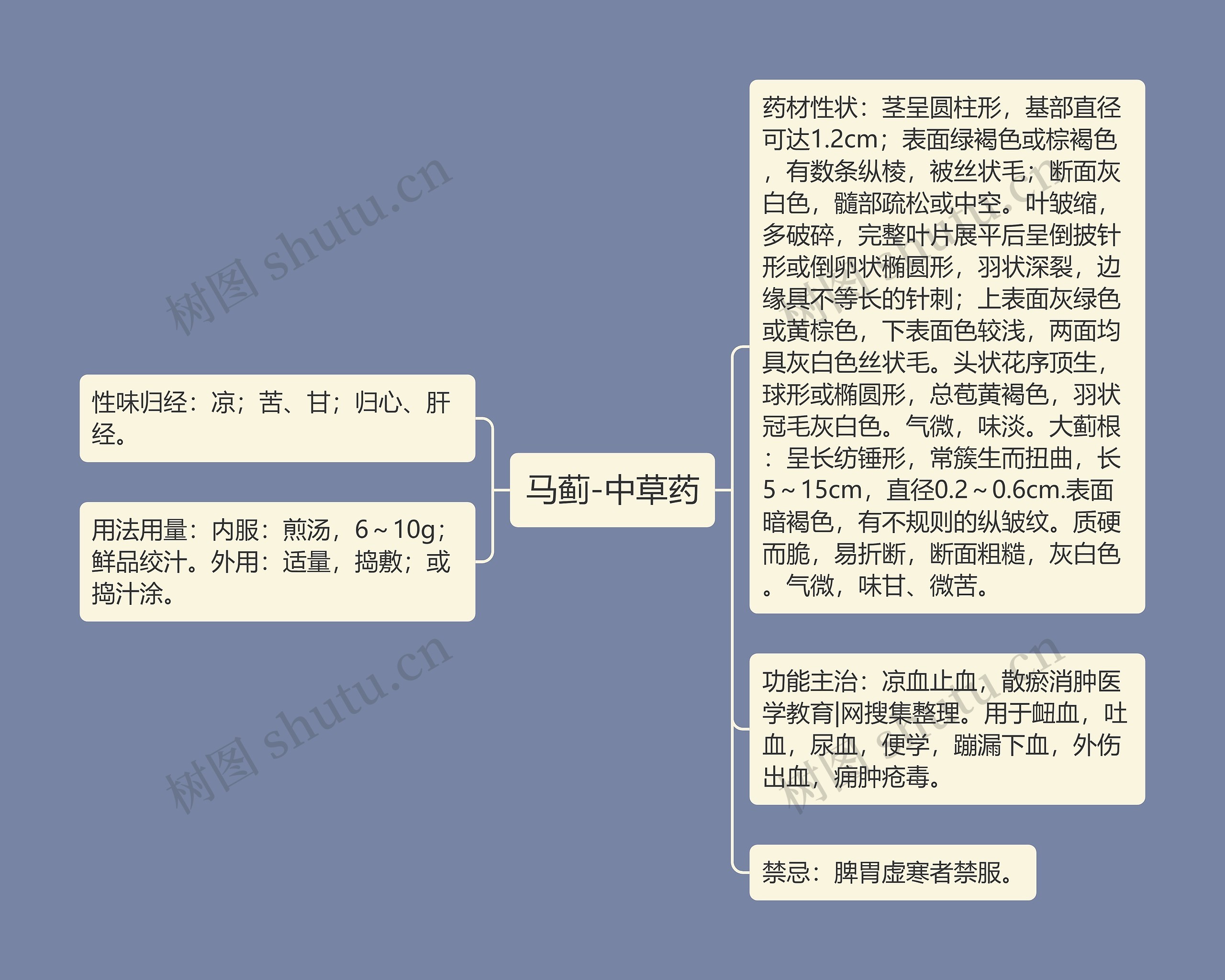 马蓟-中草药思维导图
