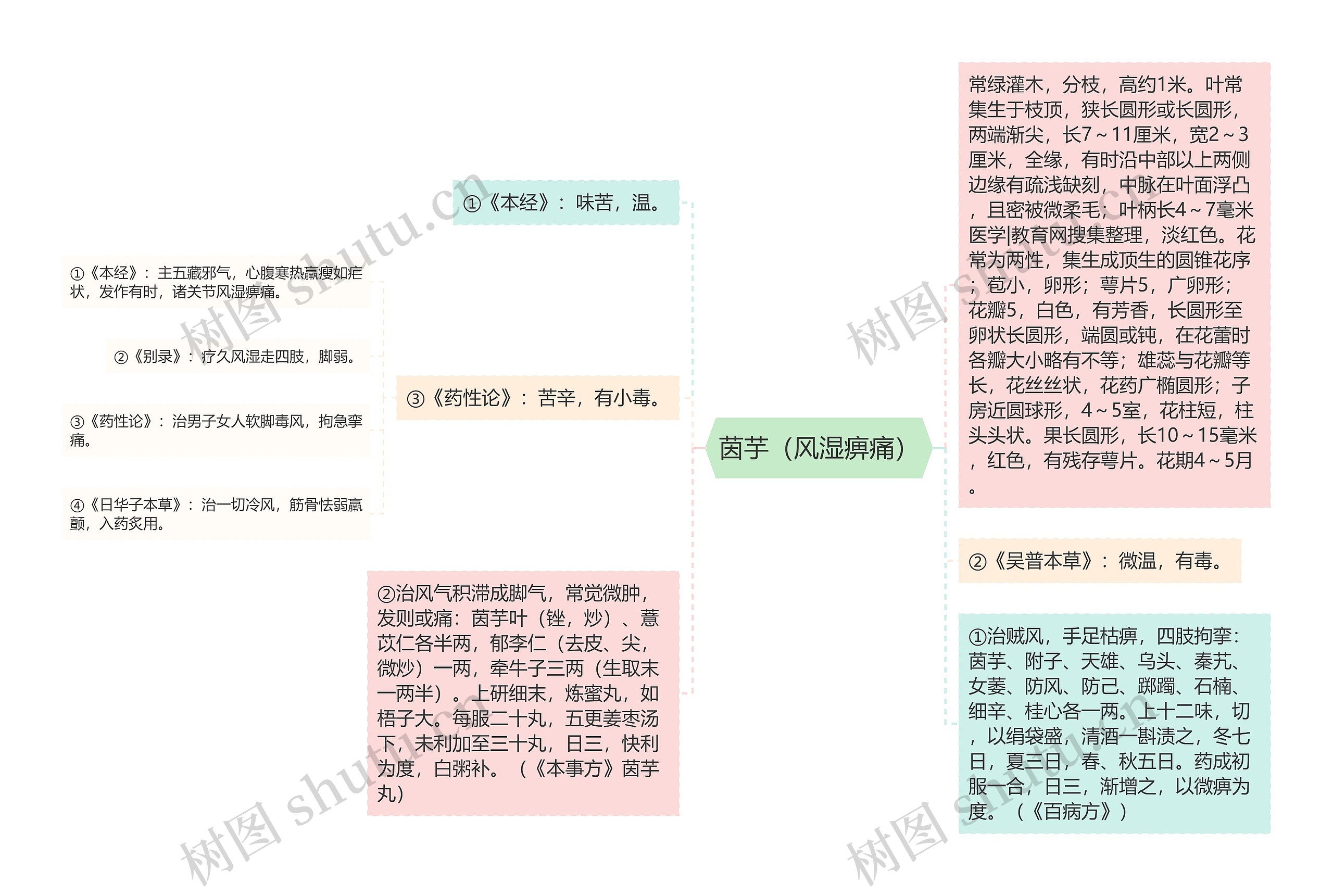 茵芋（风湿痹痛）思维导图