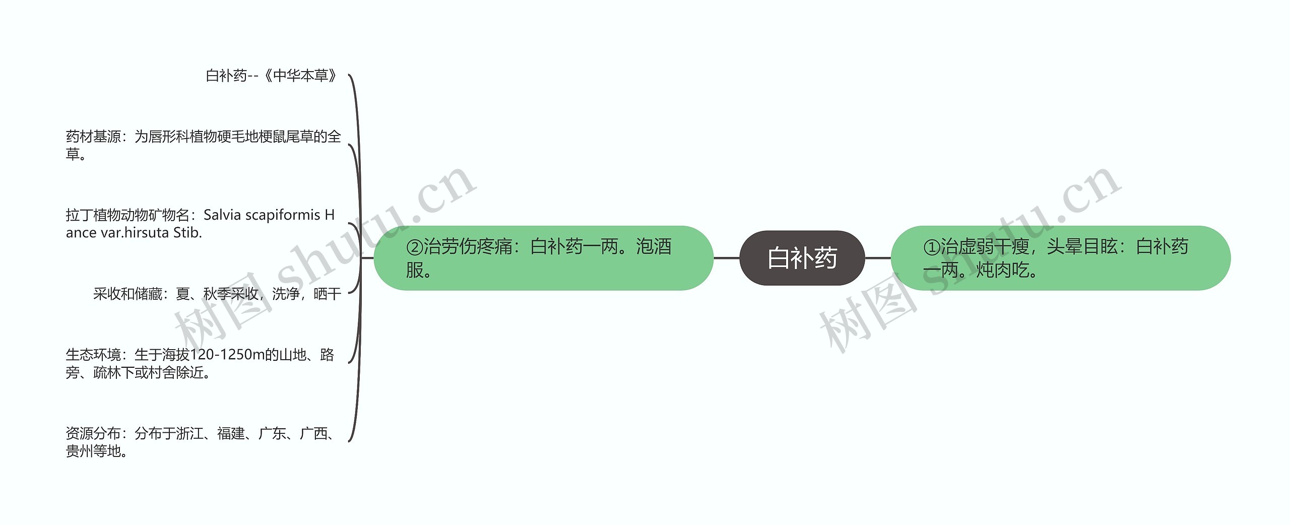 白补药思维导图