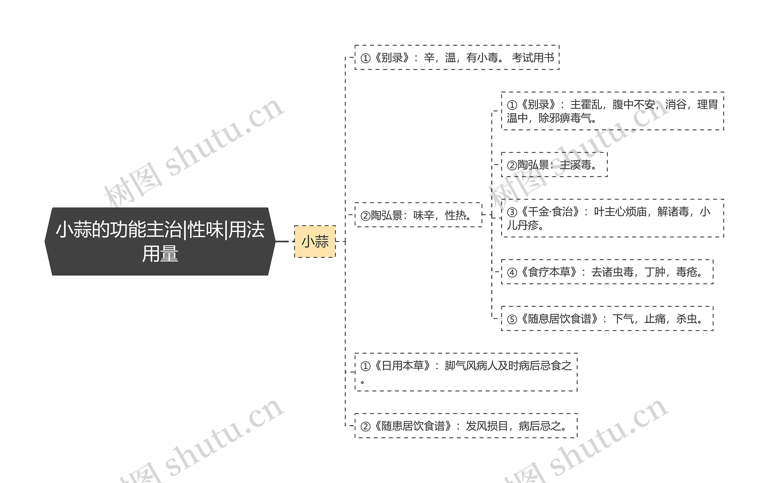 小蒜的功能主治|性味|用法用量思维导图