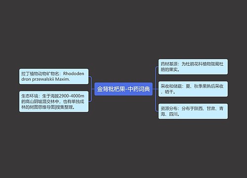 金背枇杷果-中药词典