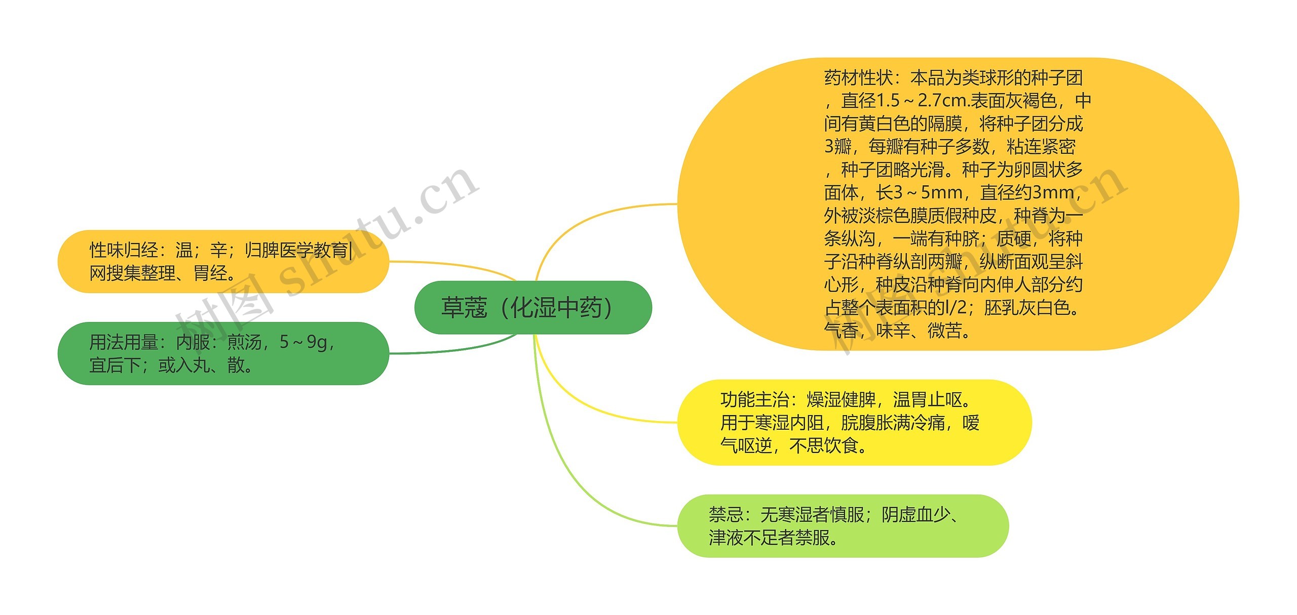 草蔻（化湿中药）