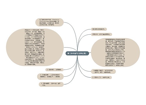 雉（补中益气 生津止渴）思维导图