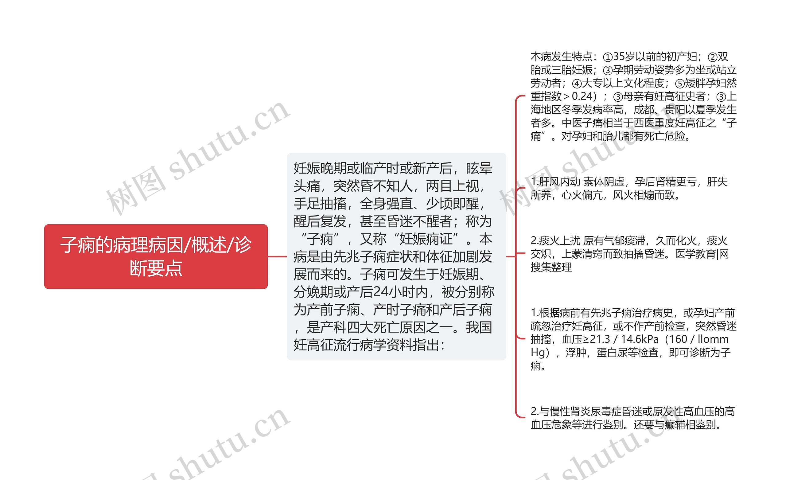 子痫的病理病因/概述/诊断要点 子痫的病理病因/概述/诊断要点