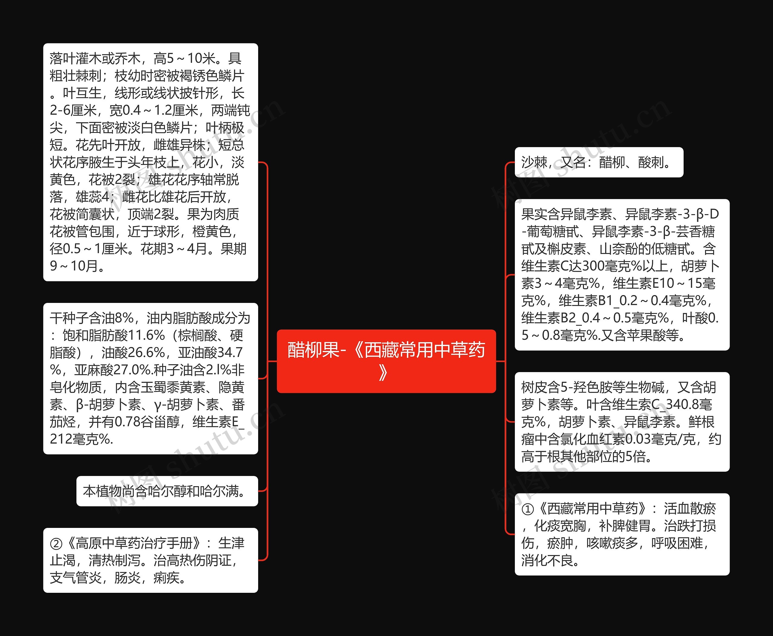 醋柳果-《西藏常用中草药》思维导图