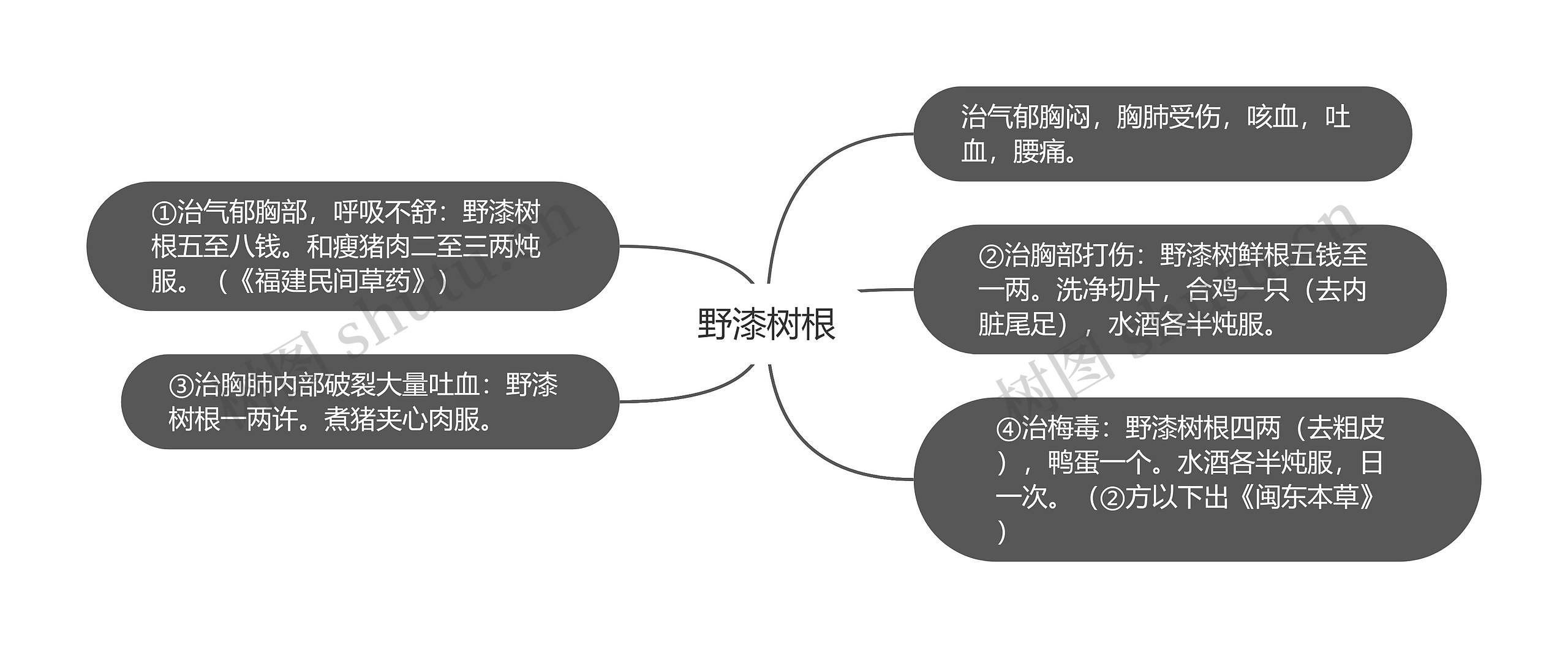 野漆树根思维导图