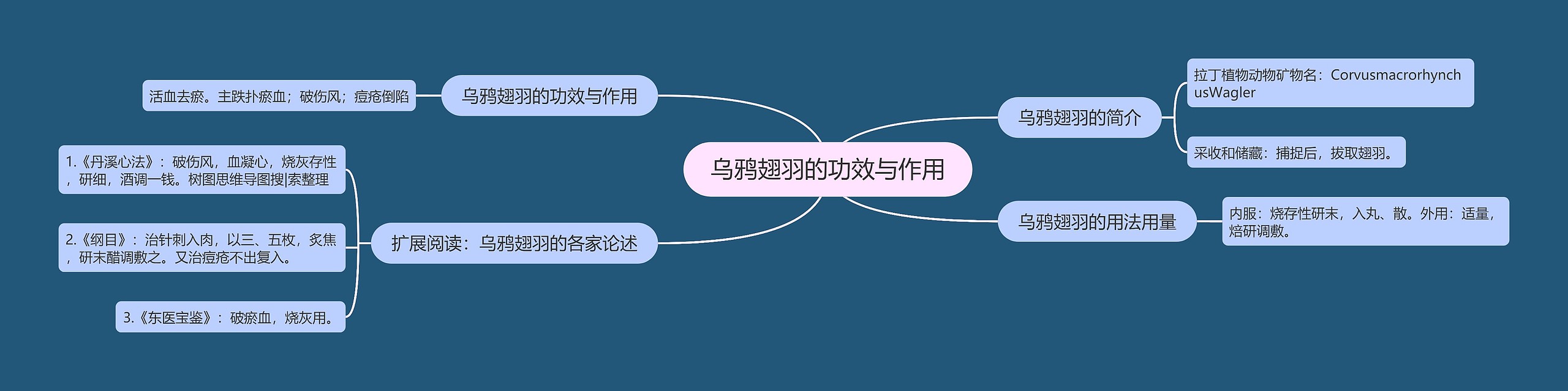 乌鸦翅羽的功效与作用 乌鸦翅羽的功效与作用