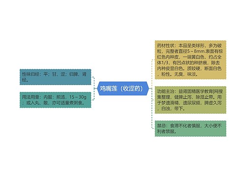 鸡嘴莲（收涩药）