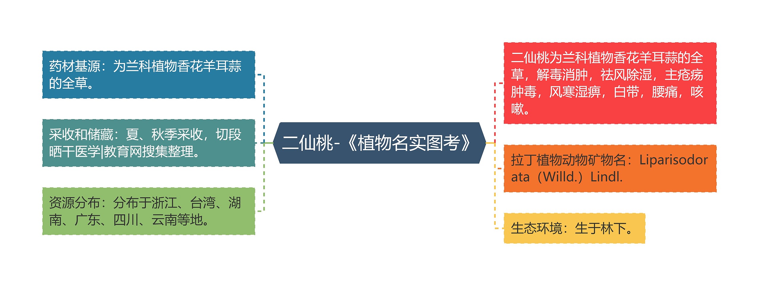 二仙桃-《植物名实图考》