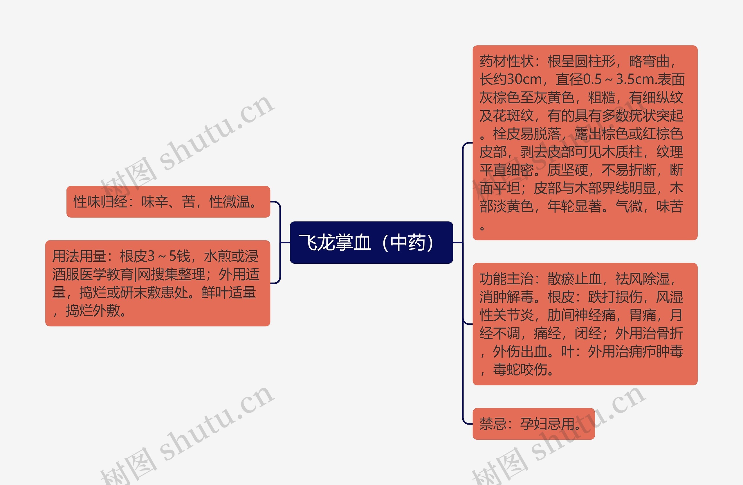 飞龙掌血（中药）思维导图