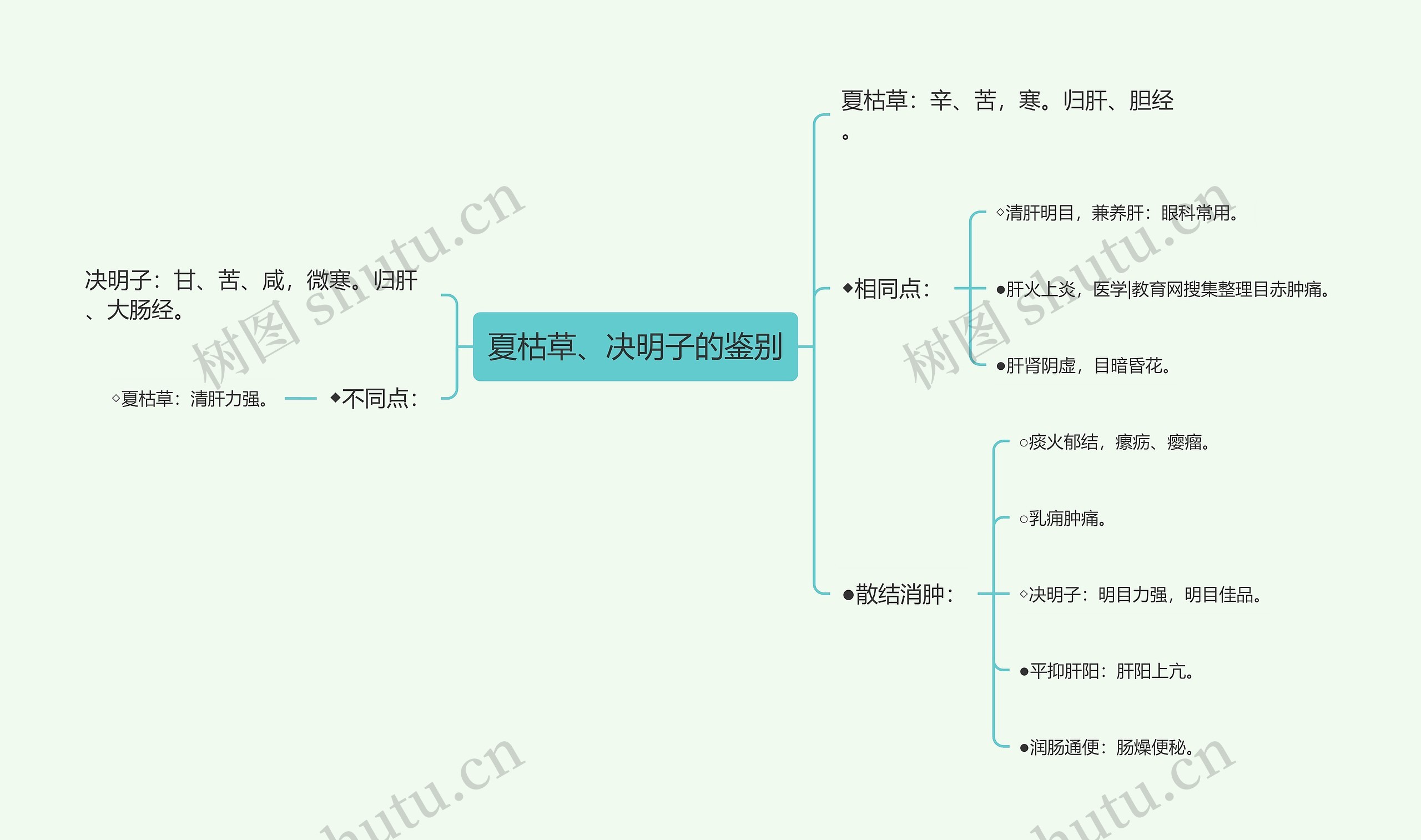 夏枯草、决明子的鉴别