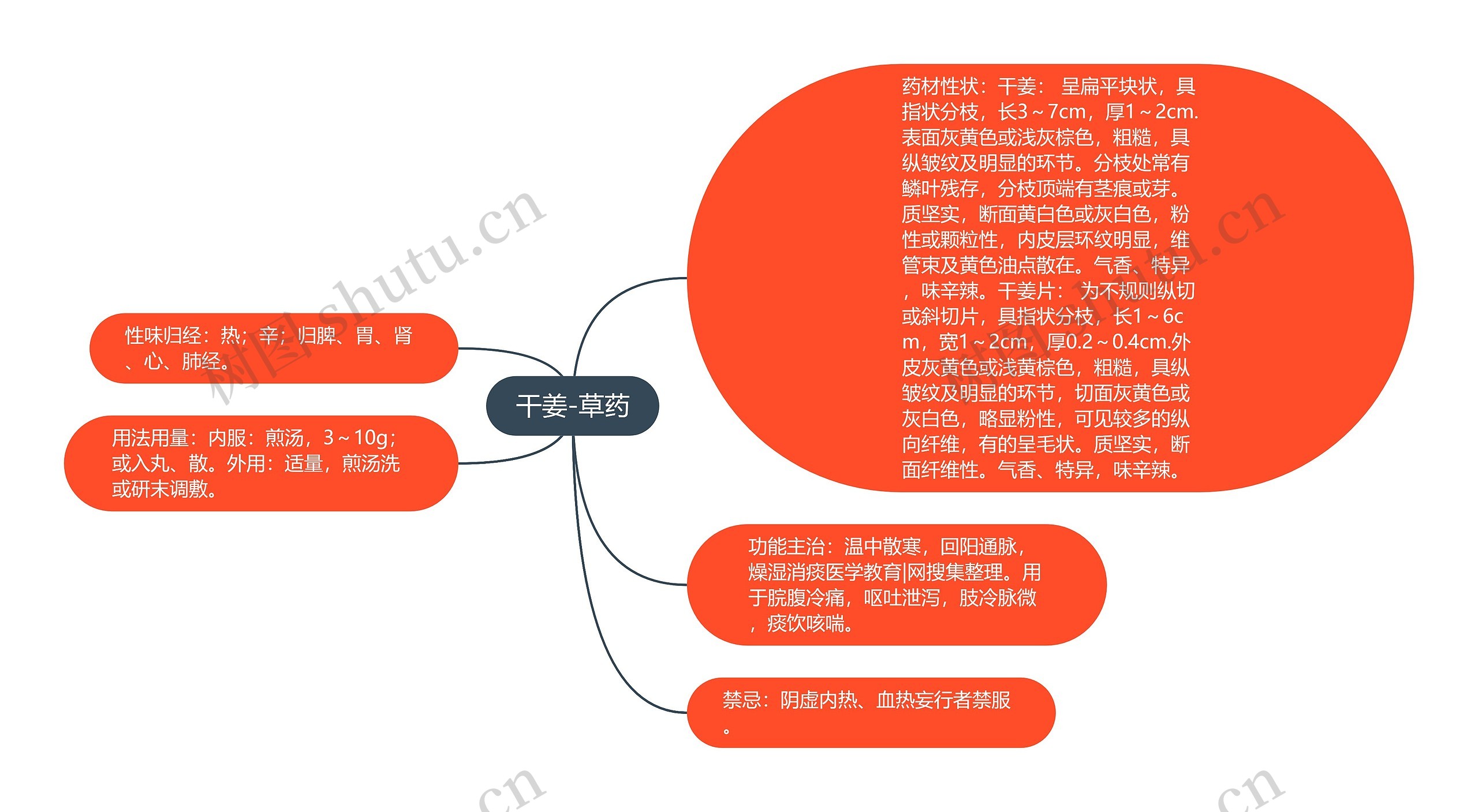 干姜-草药 干姜-草药