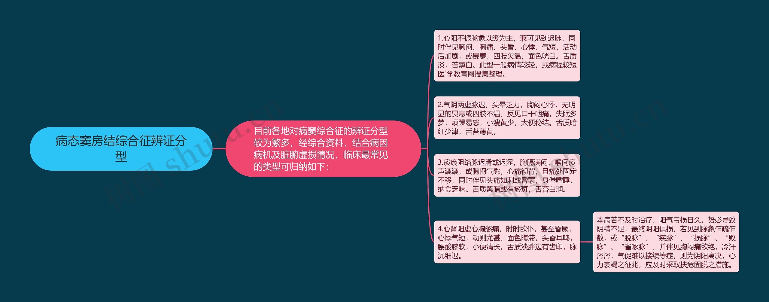 病态窦房结综合征辨证分型思维导图