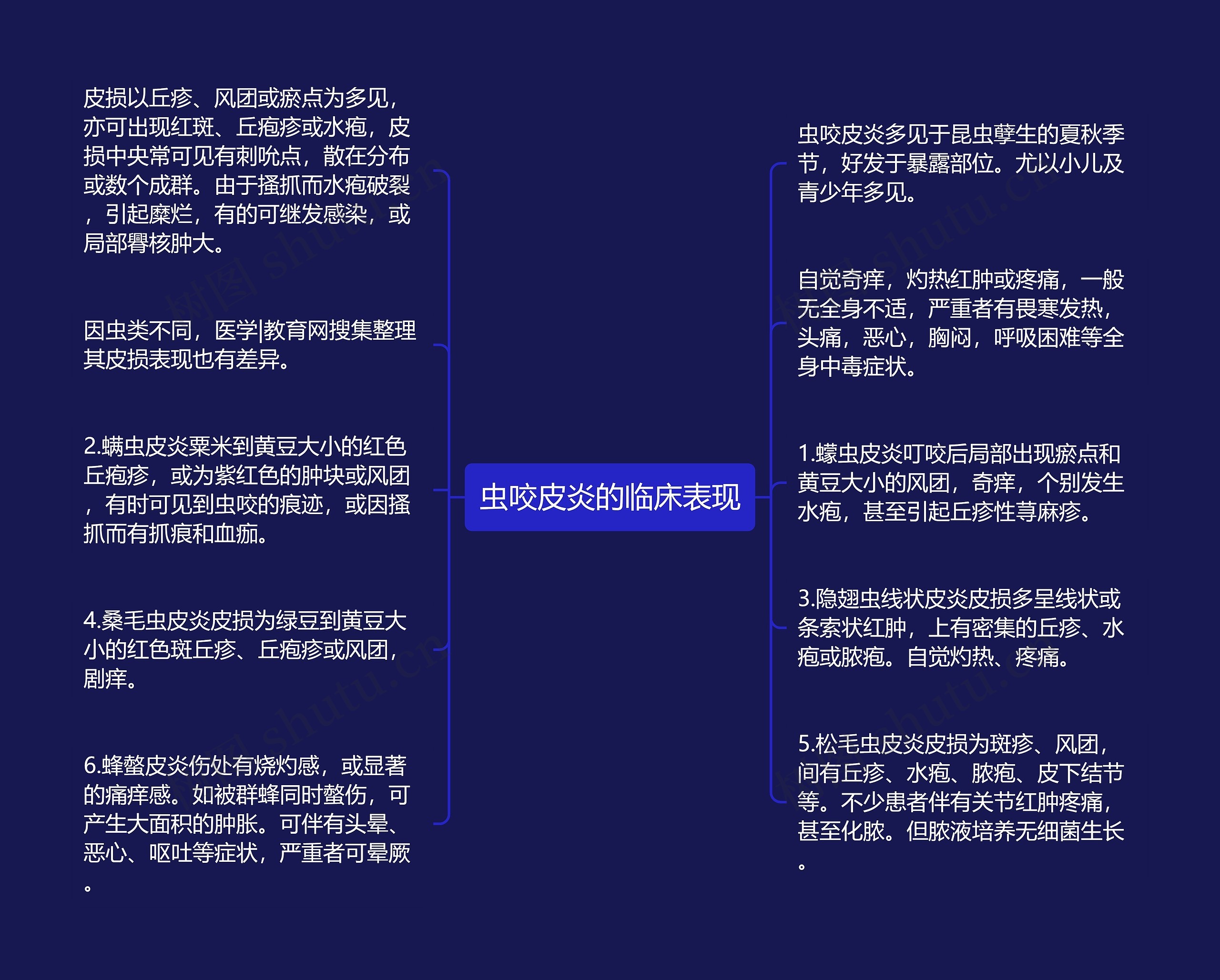 虫咬皮炎的临床表现