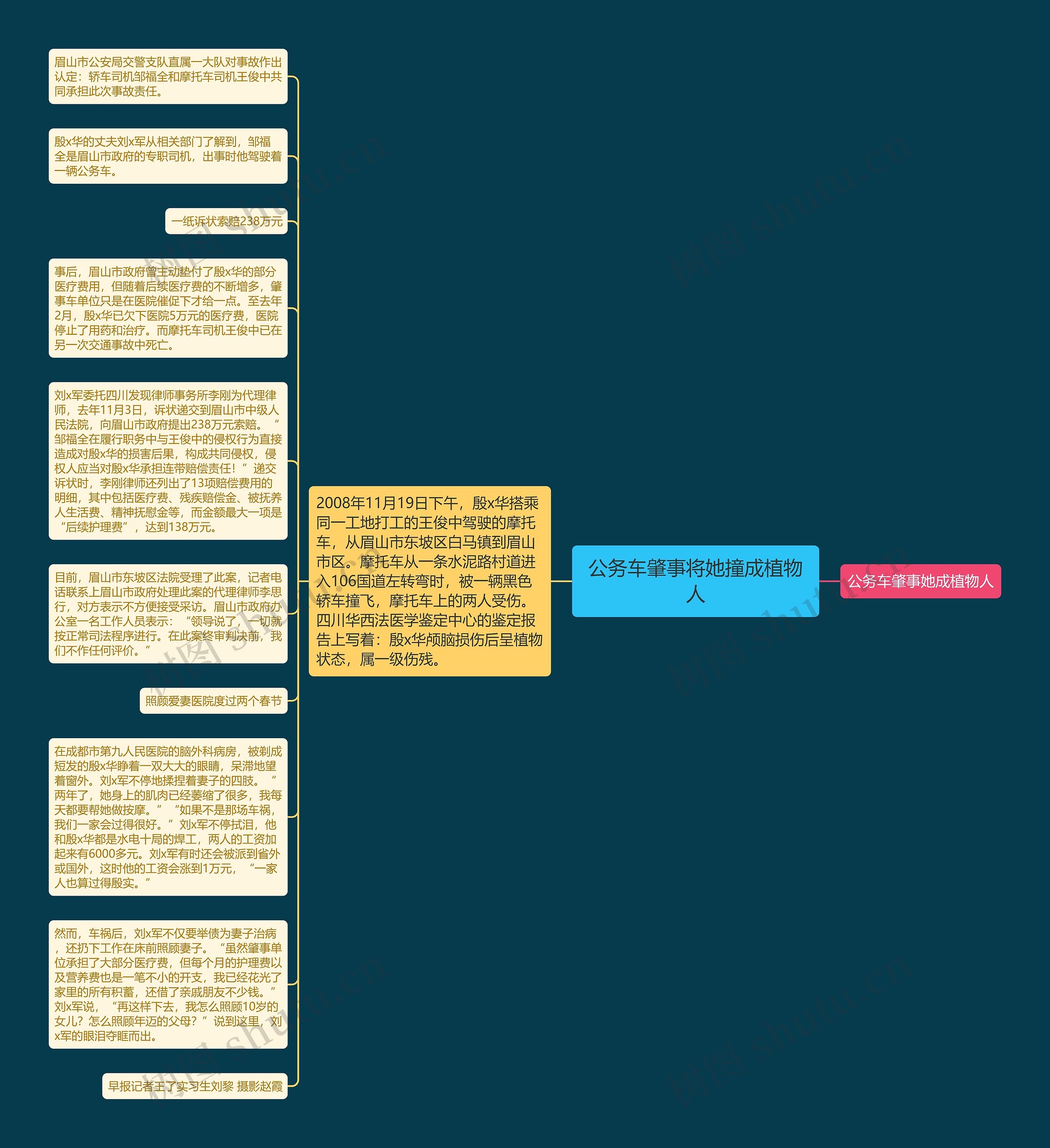 公务车肇事将她撞成植物人思维导图