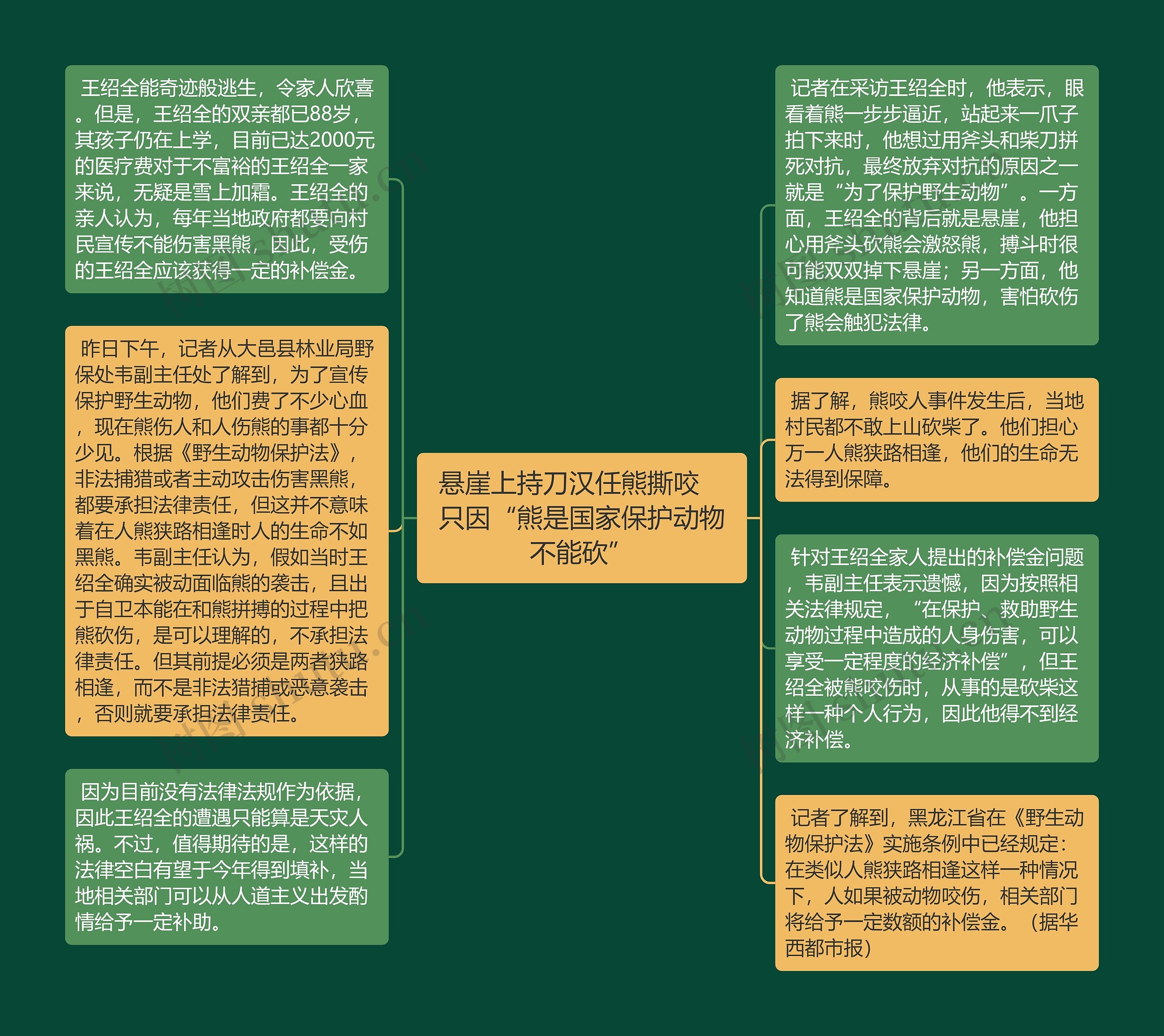 悬崖上持刀汉任熊撕咬　只因“熊是国家保护动物不能砍”