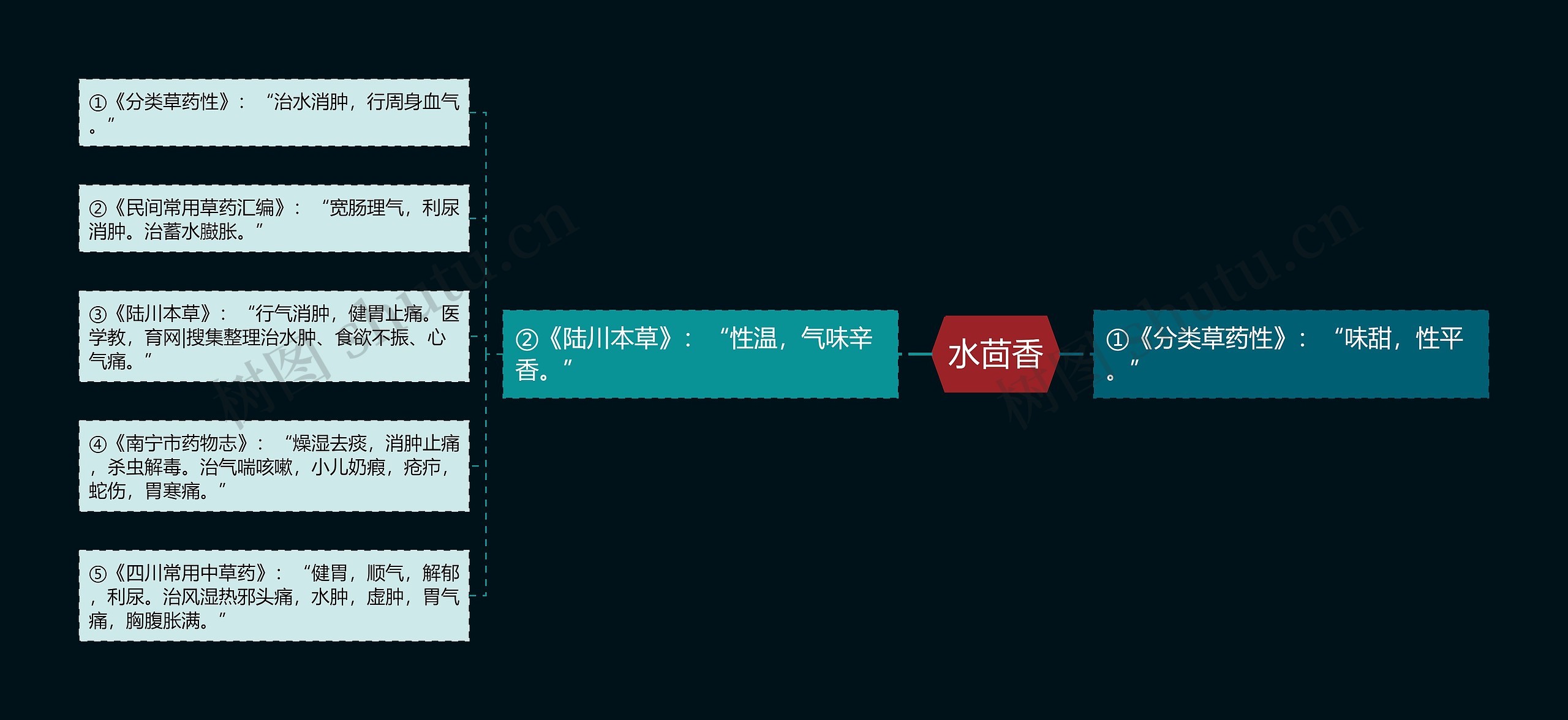 水茴香思维导图