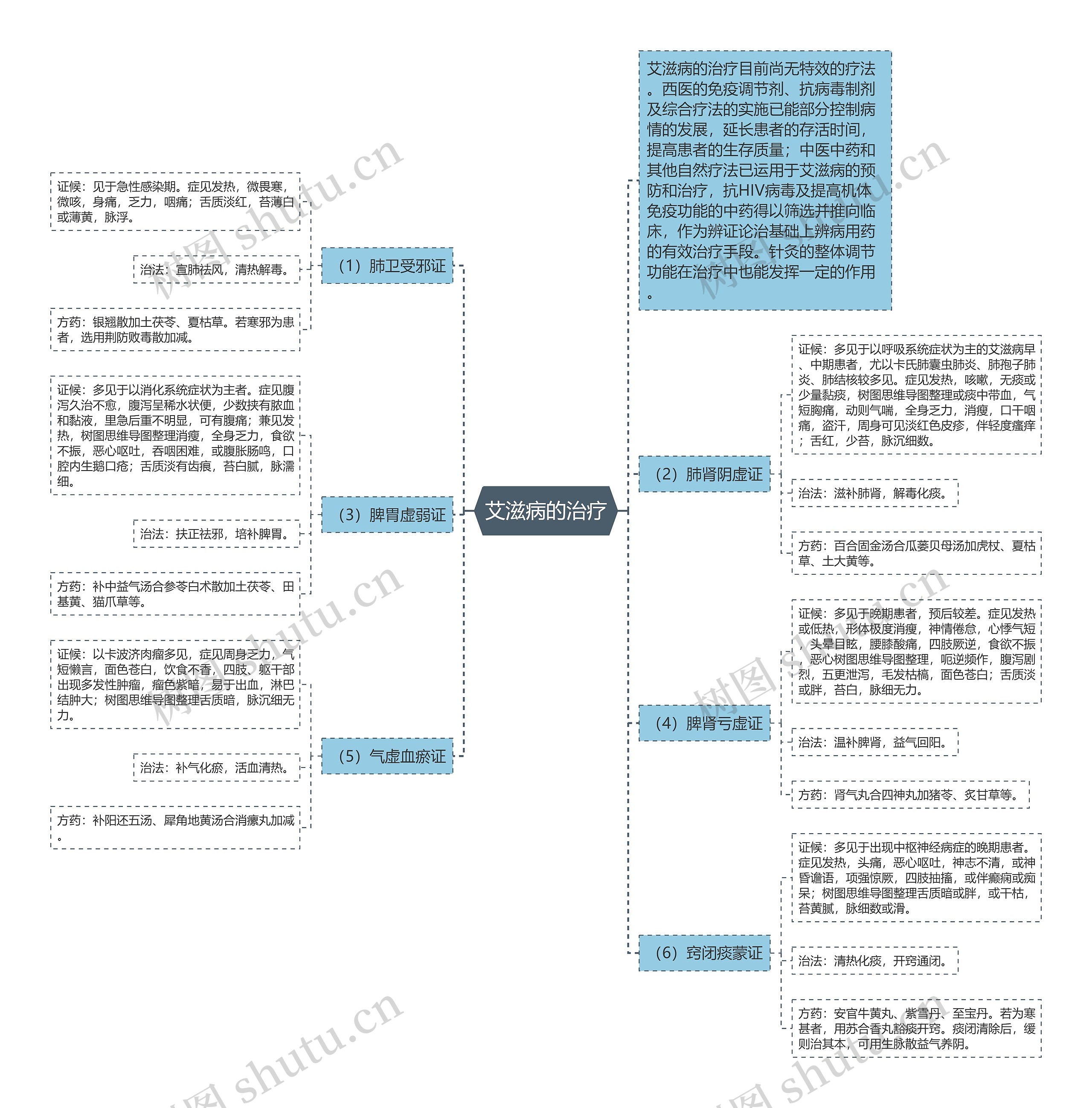 艾滋病的治疗 艾滋病的治疗