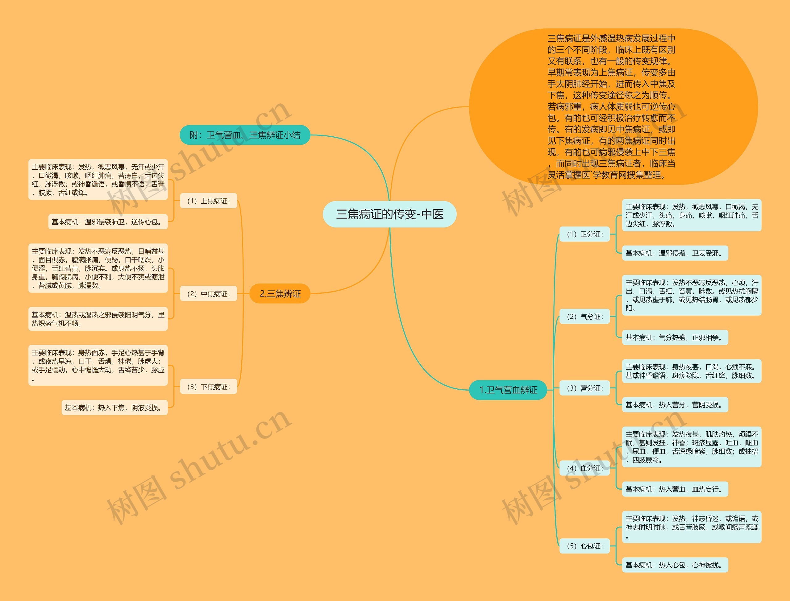 三焦病证的传变-中医 三焦病证的传变-中医