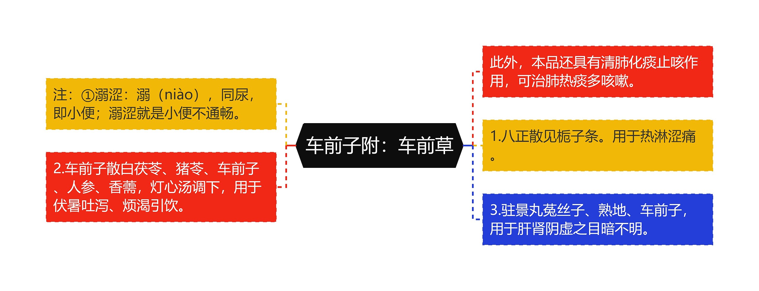 车前子附：车前草思维导图