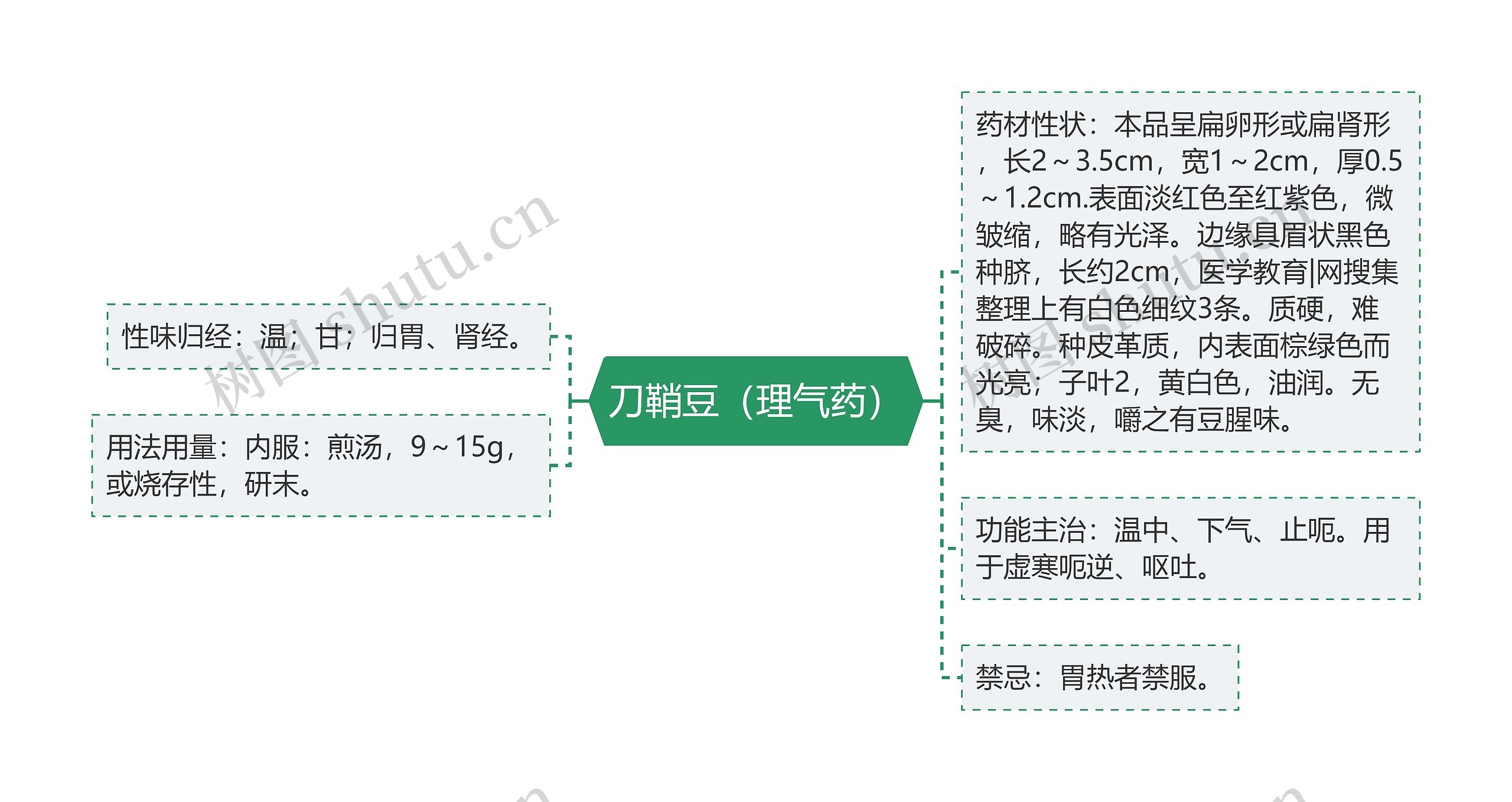 刀鞘豆（理气药）思维导图