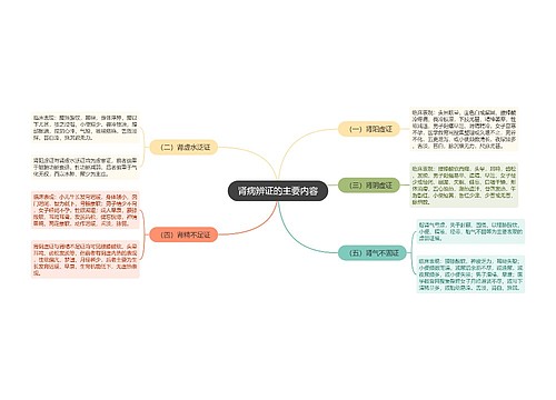 肾病辨证的主要内容