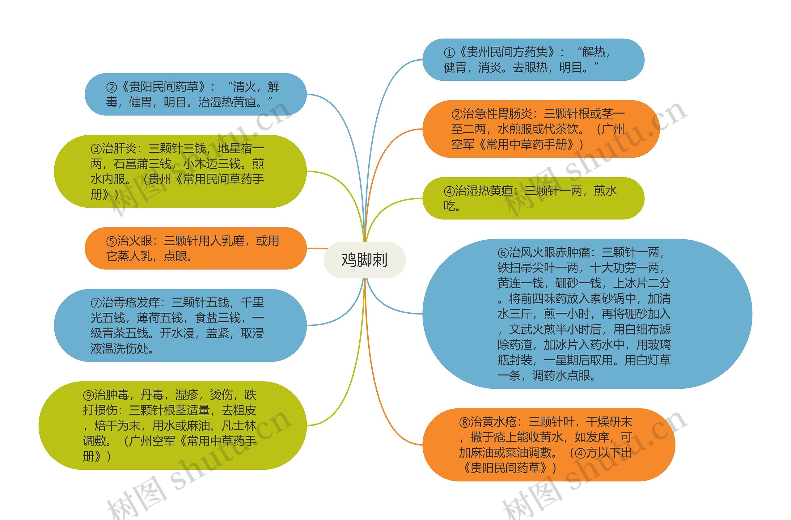 鸡脚刺思维导图