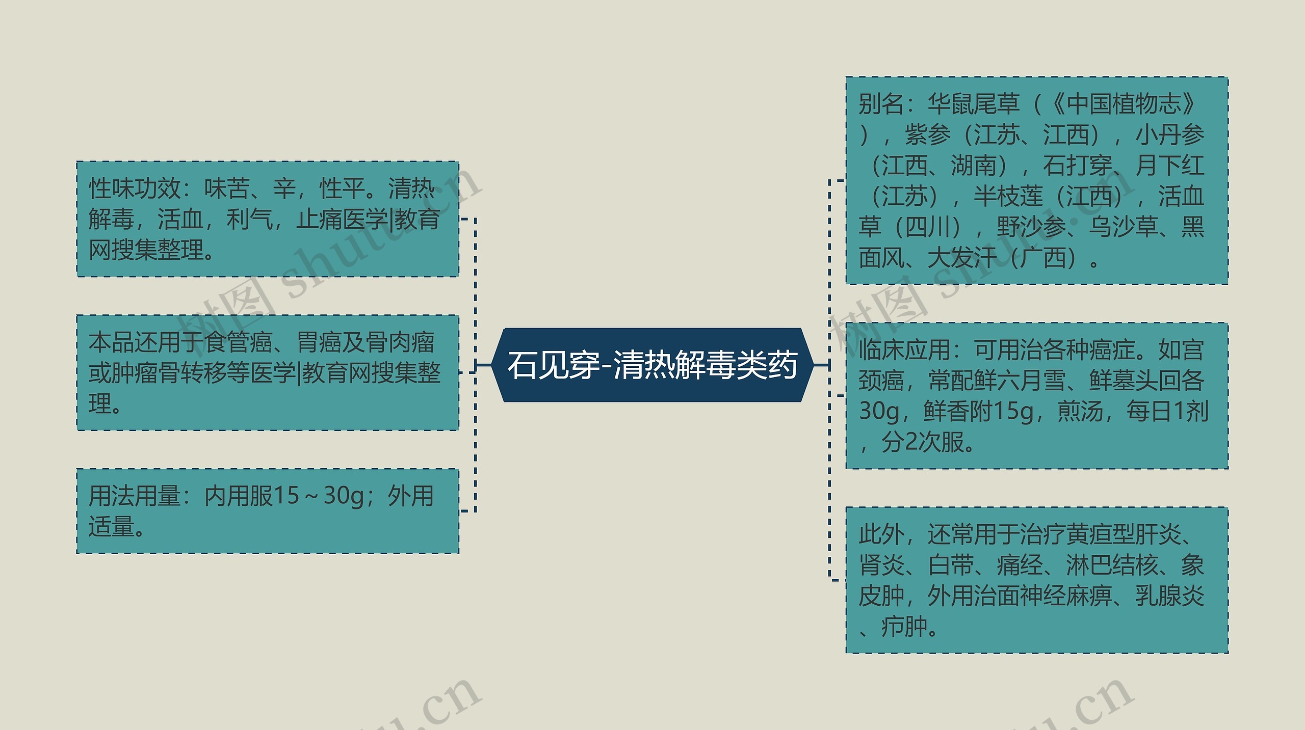 石见穿-清热解毒类药思维导图