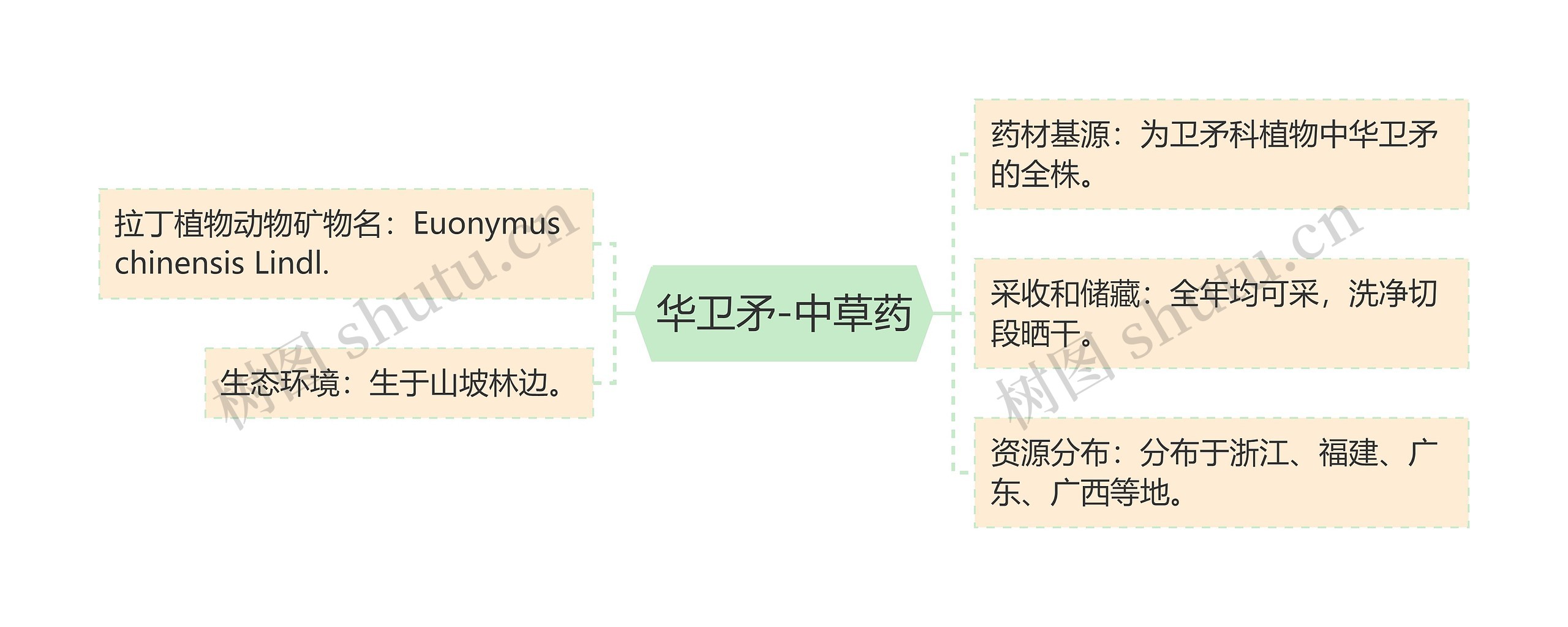 华卫矛-中草药思维导图