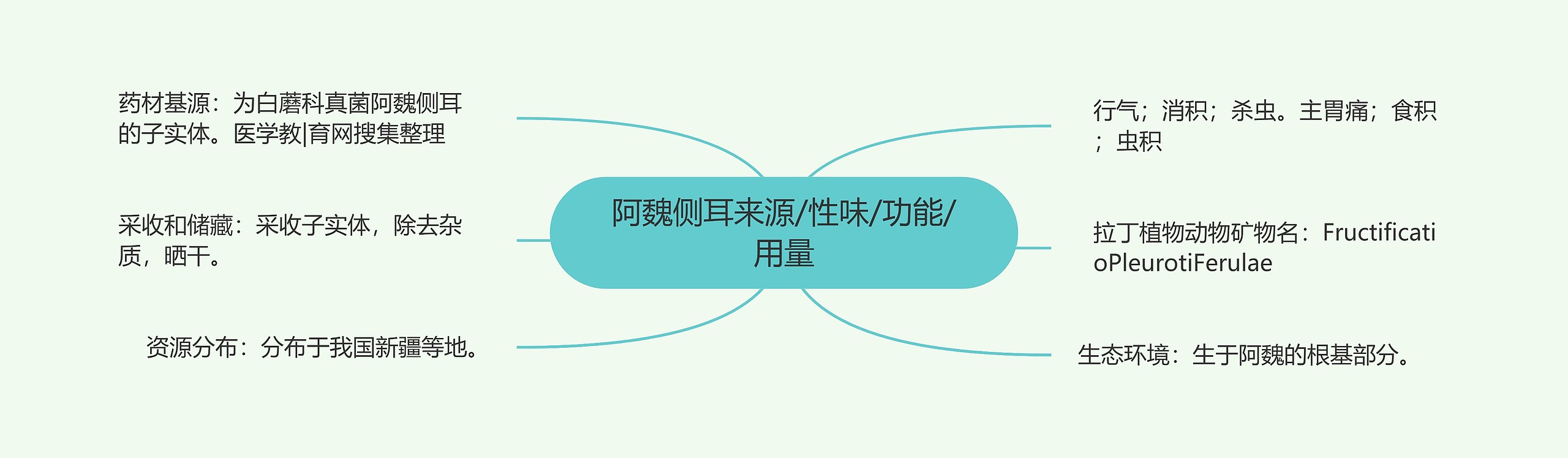 阿魏侧耳来源/性味/功能/用量 阿魏侧耳来源/性味/功能/用量